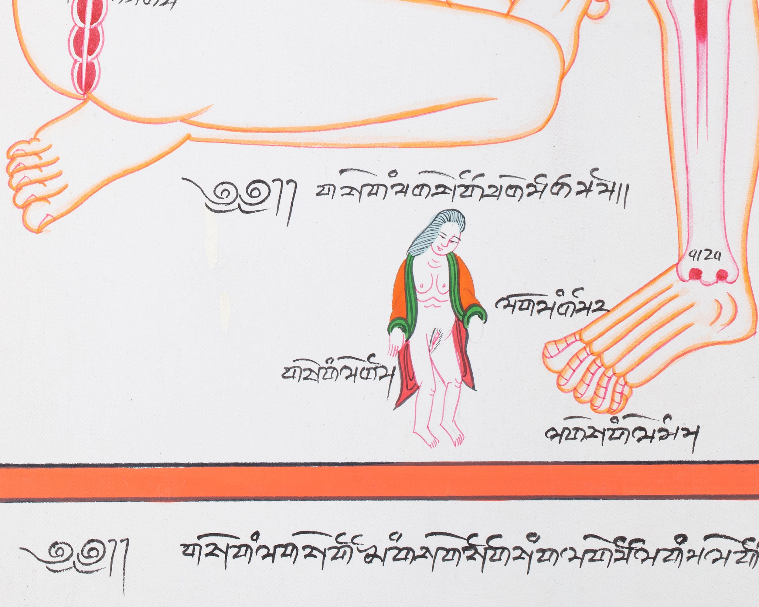 Human Anatomy Thangka | Posterior View of Healing Points