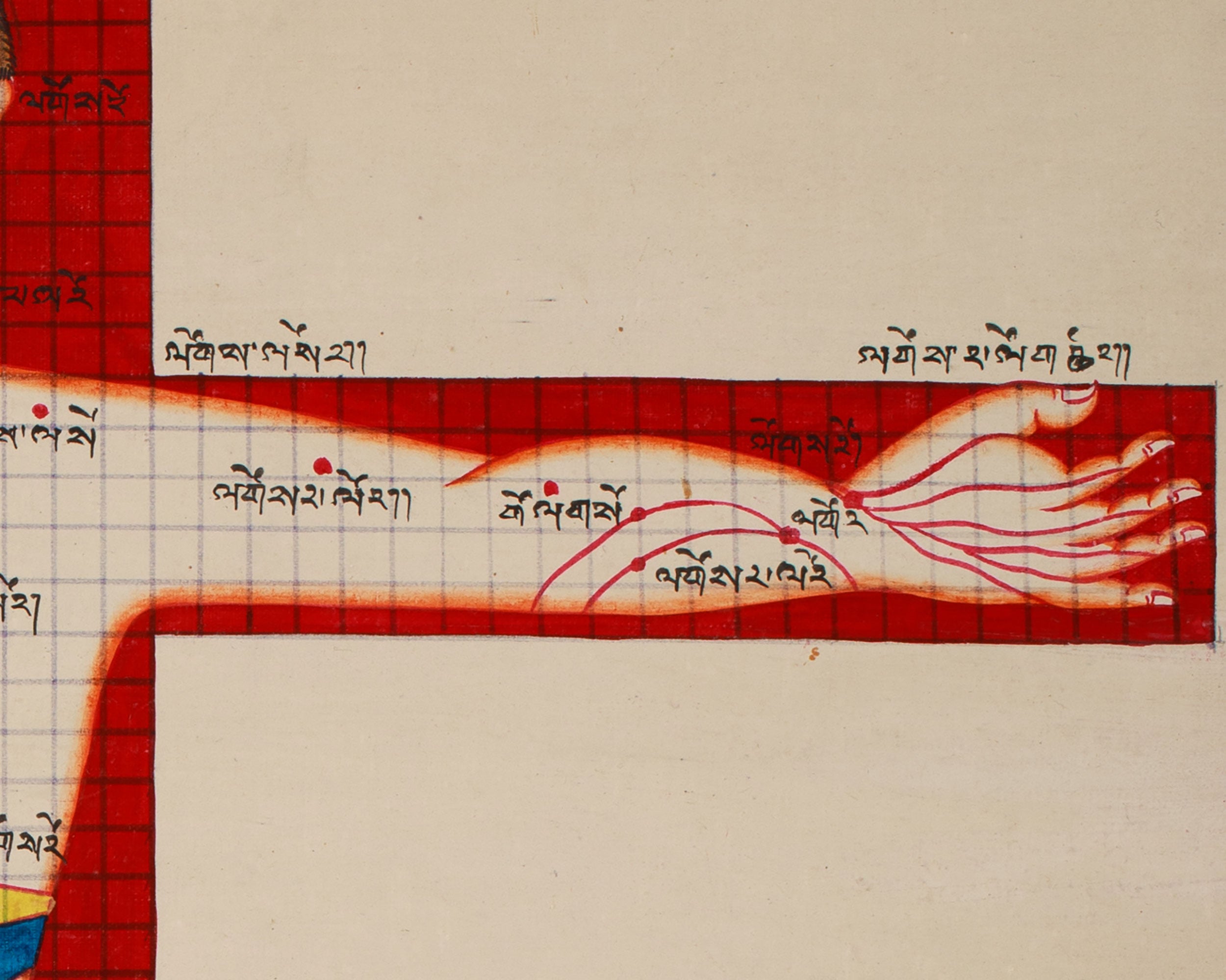 Human Anatomy Thangka | Posterior View of Healing Points