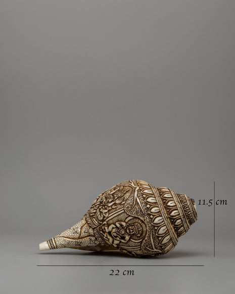 Beautifull Conch Shell | Sacred Shankha for Puja and Meditation