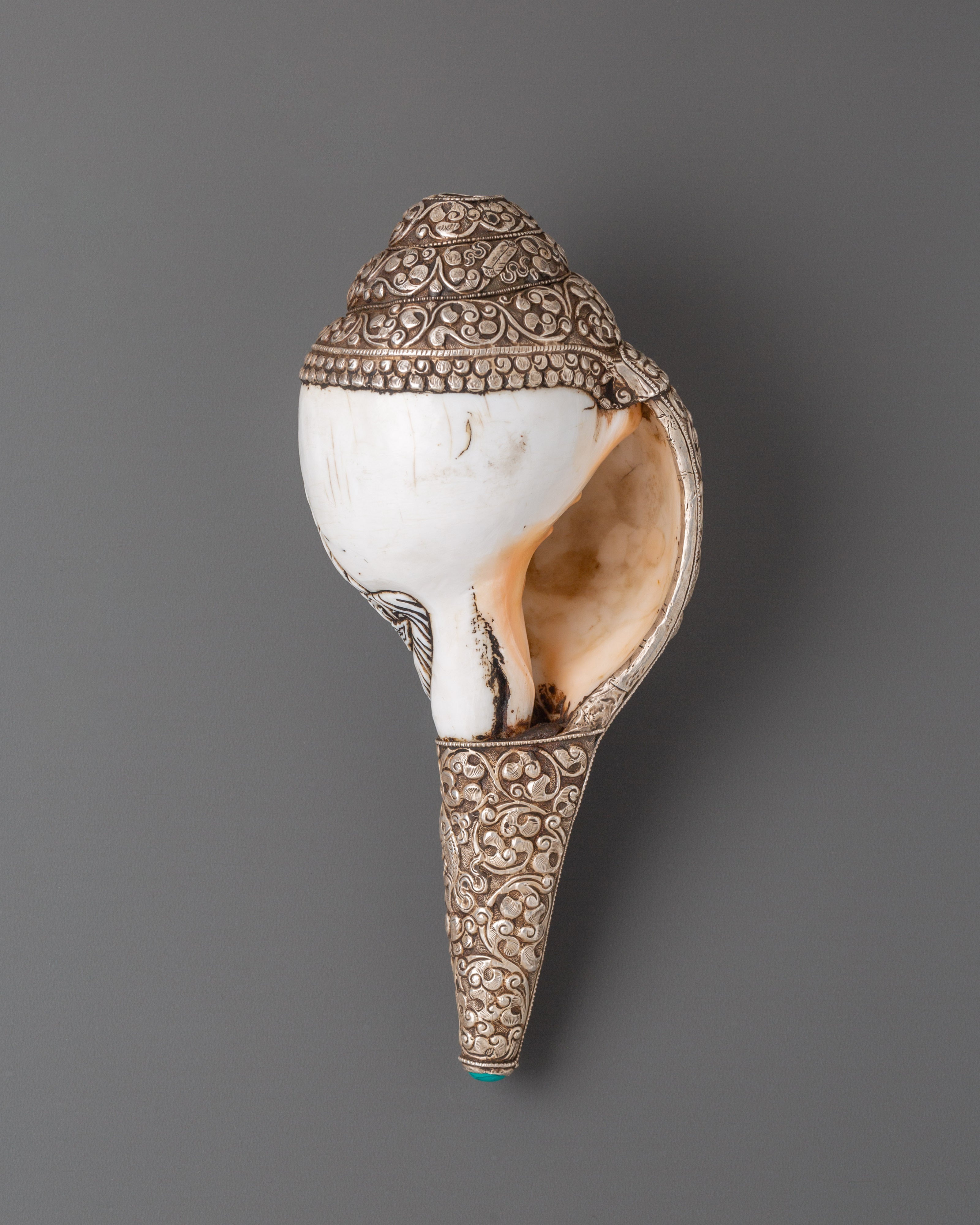 Tibetan Conch Shell for Rituals | Sacred Spiritual Tool for Meditation and Ceremony