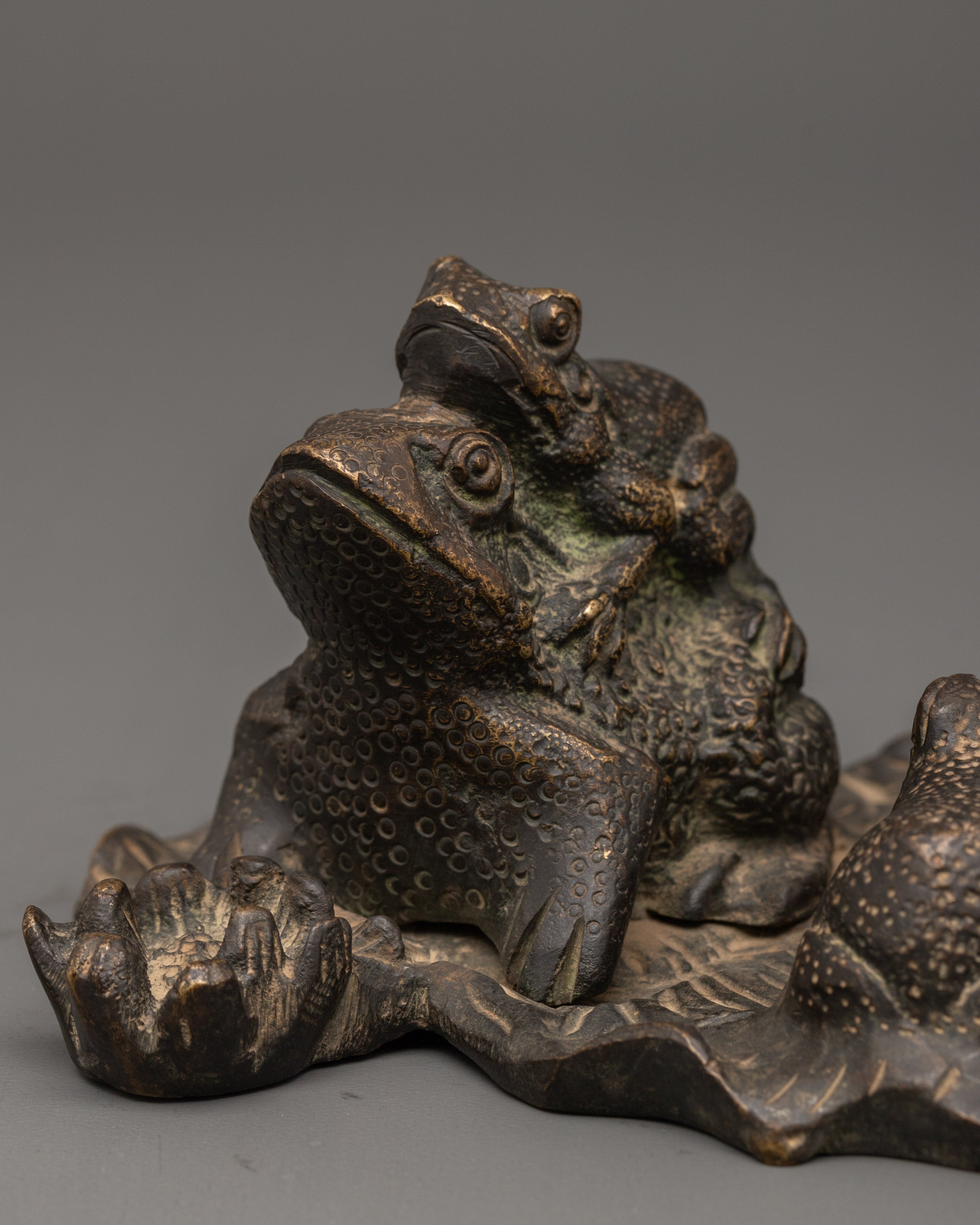 Brass Frog Figurine | Frog Statue for Home & Garden Decor