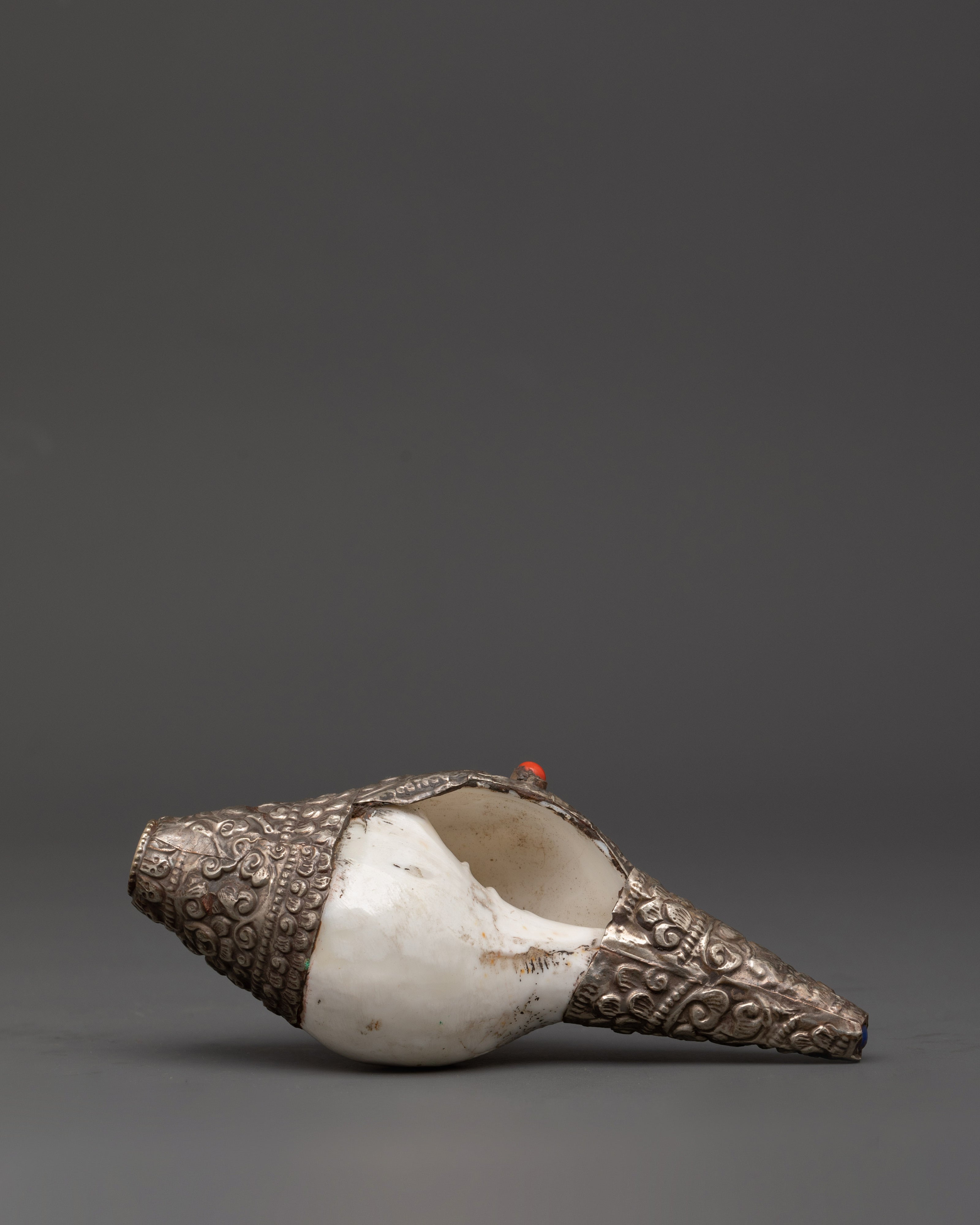 Tibetan Ritual Conch Shell | Handcrafted Buddhist Ritual Sacred Instrument