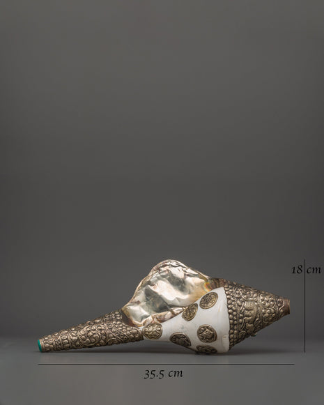 Tibetan Conch for Rituals | Sacred Offering Tool