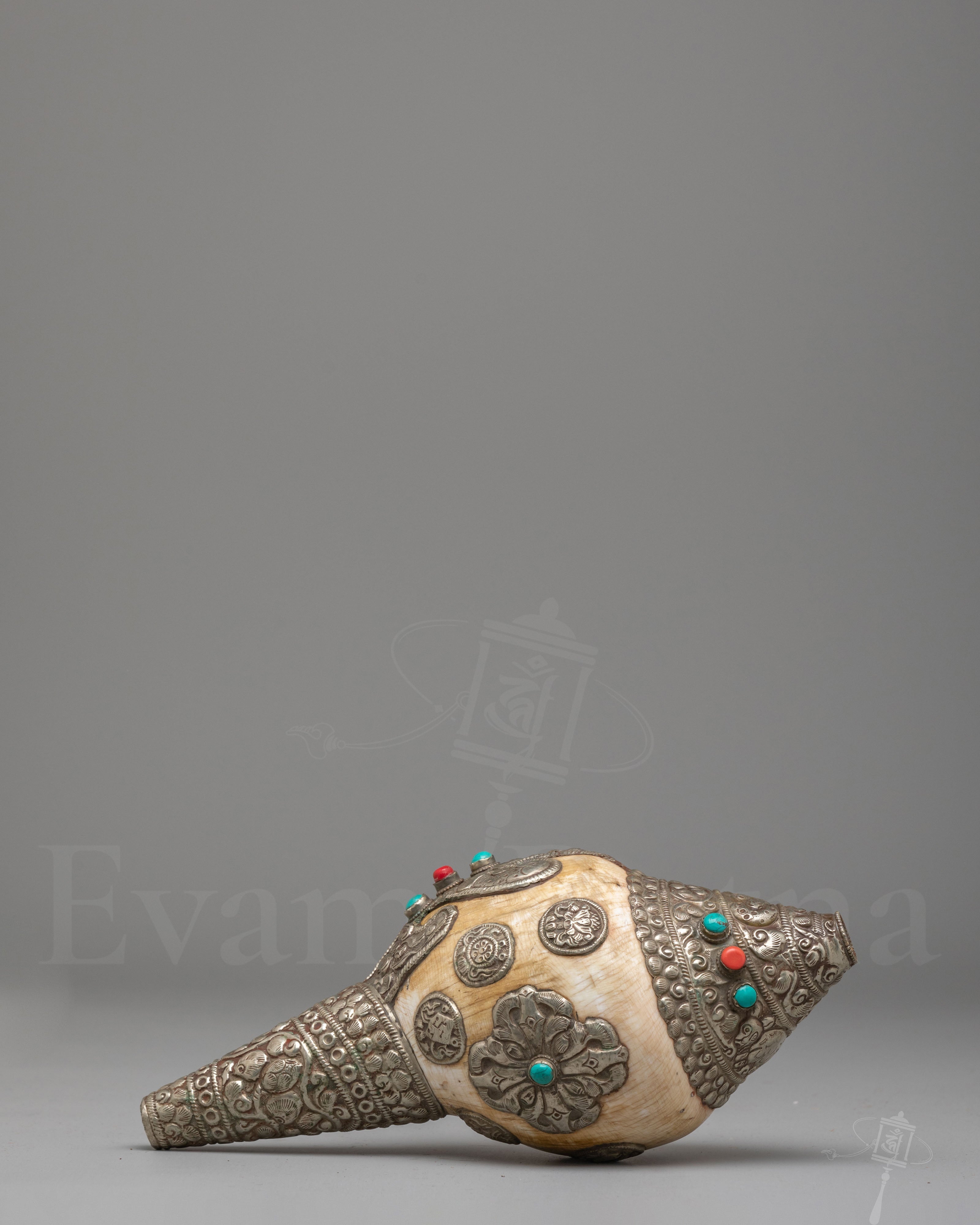 Sacred Dharma Conch Shell