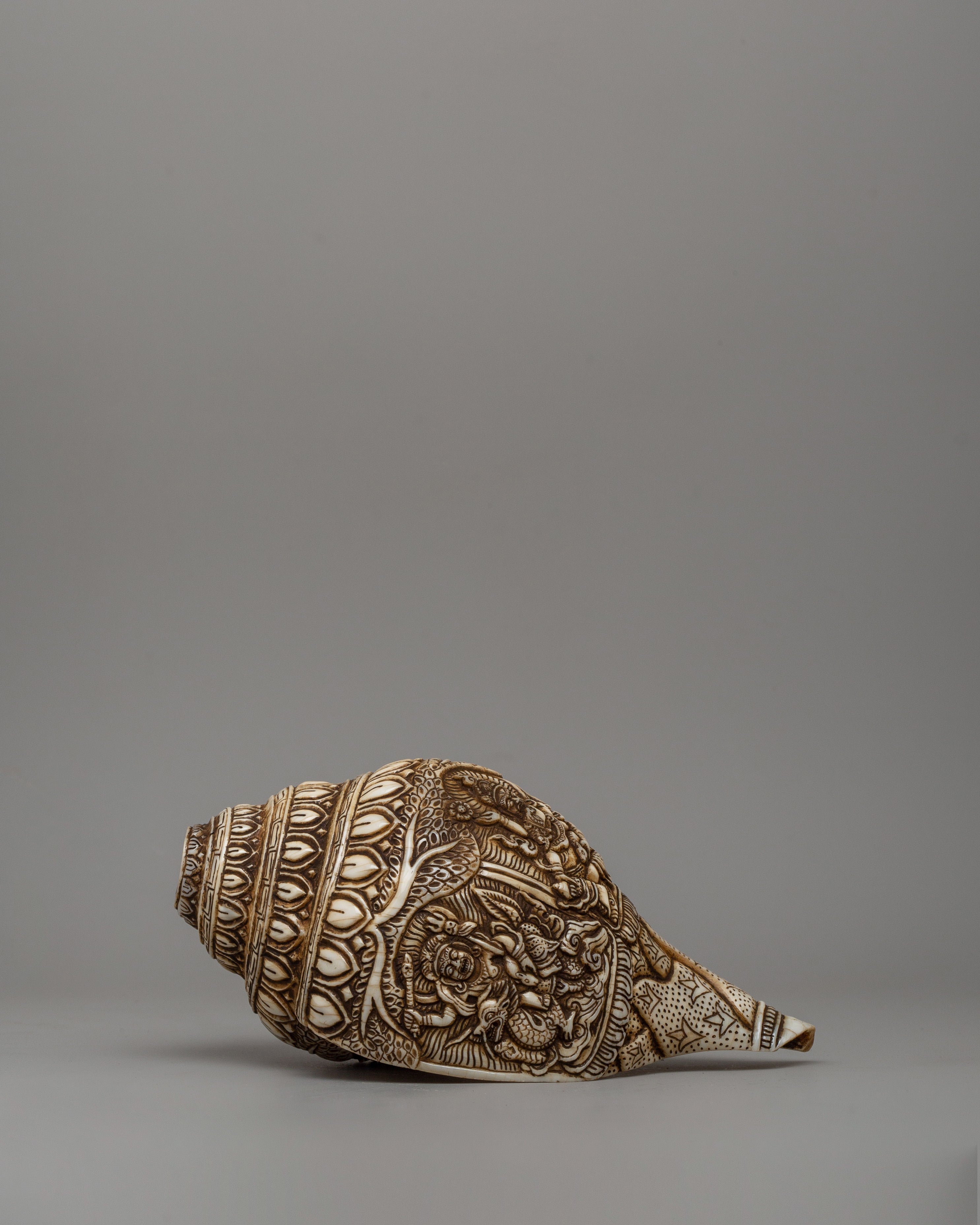 Beautifull Conch Shell | Sacred Shankha for Puja and Meditation