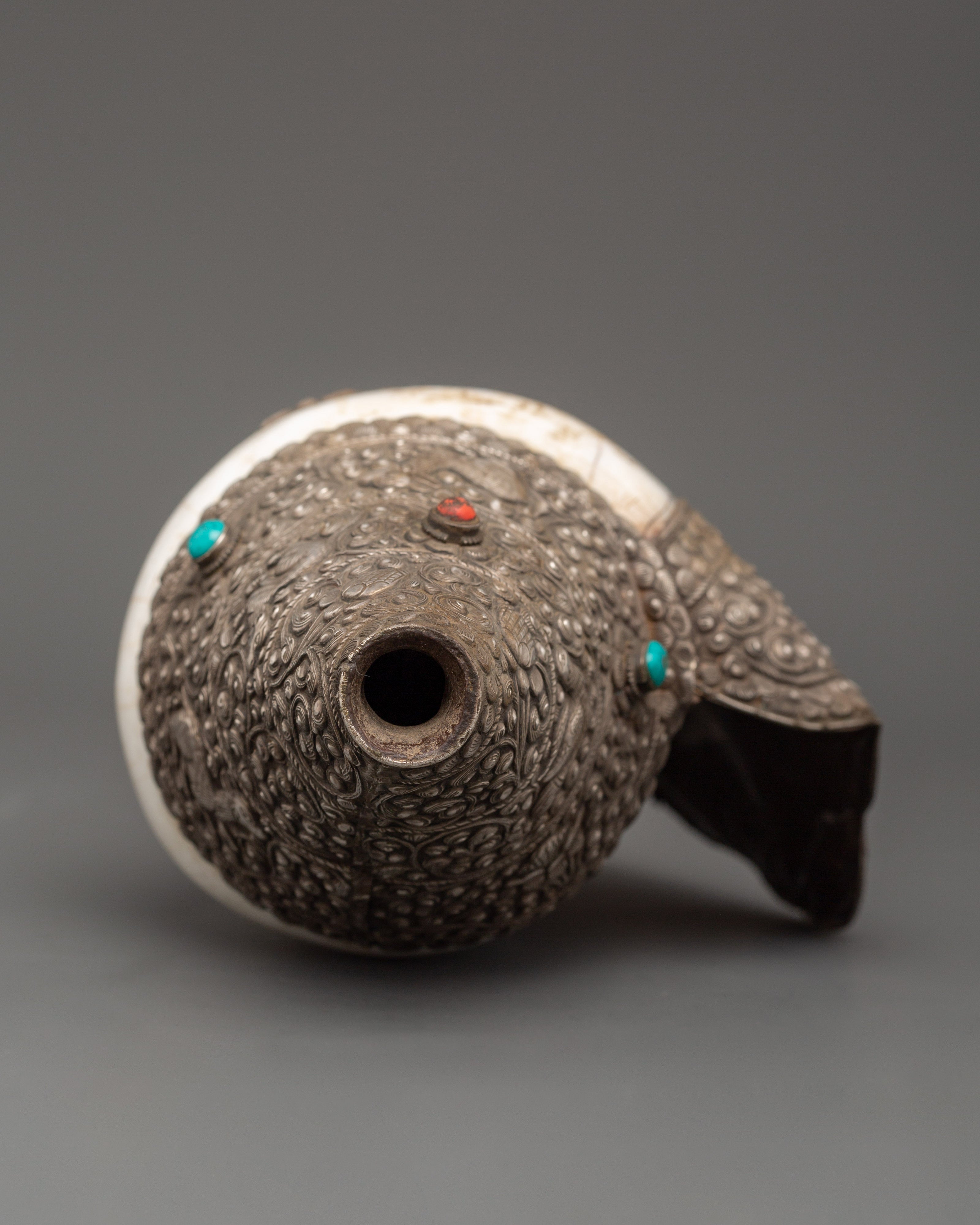 Religious Conch Shell | A Sacred Symbol of Dharma
