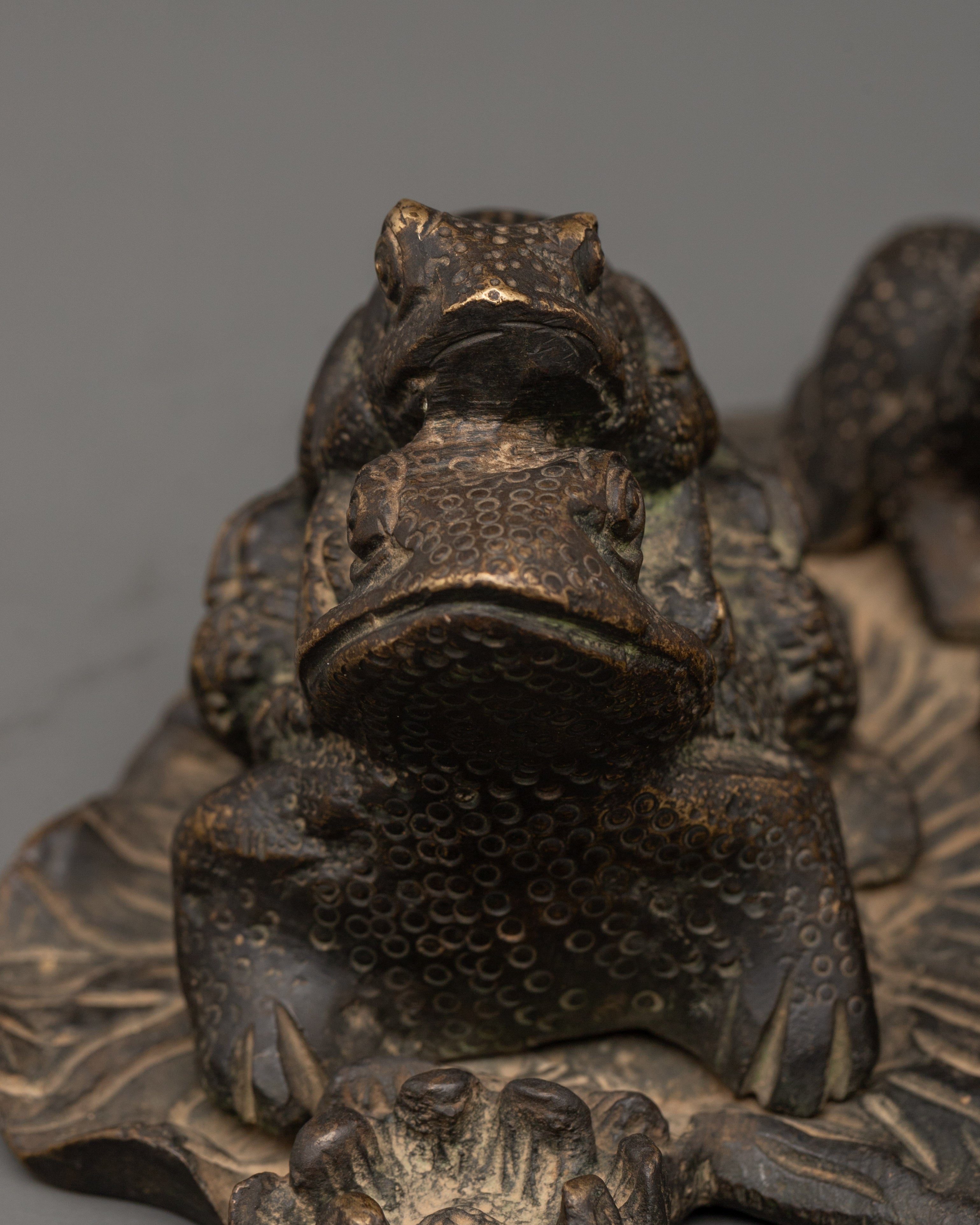 Brass Frog Figurine | Frog Statue for Home & Garden Decor
