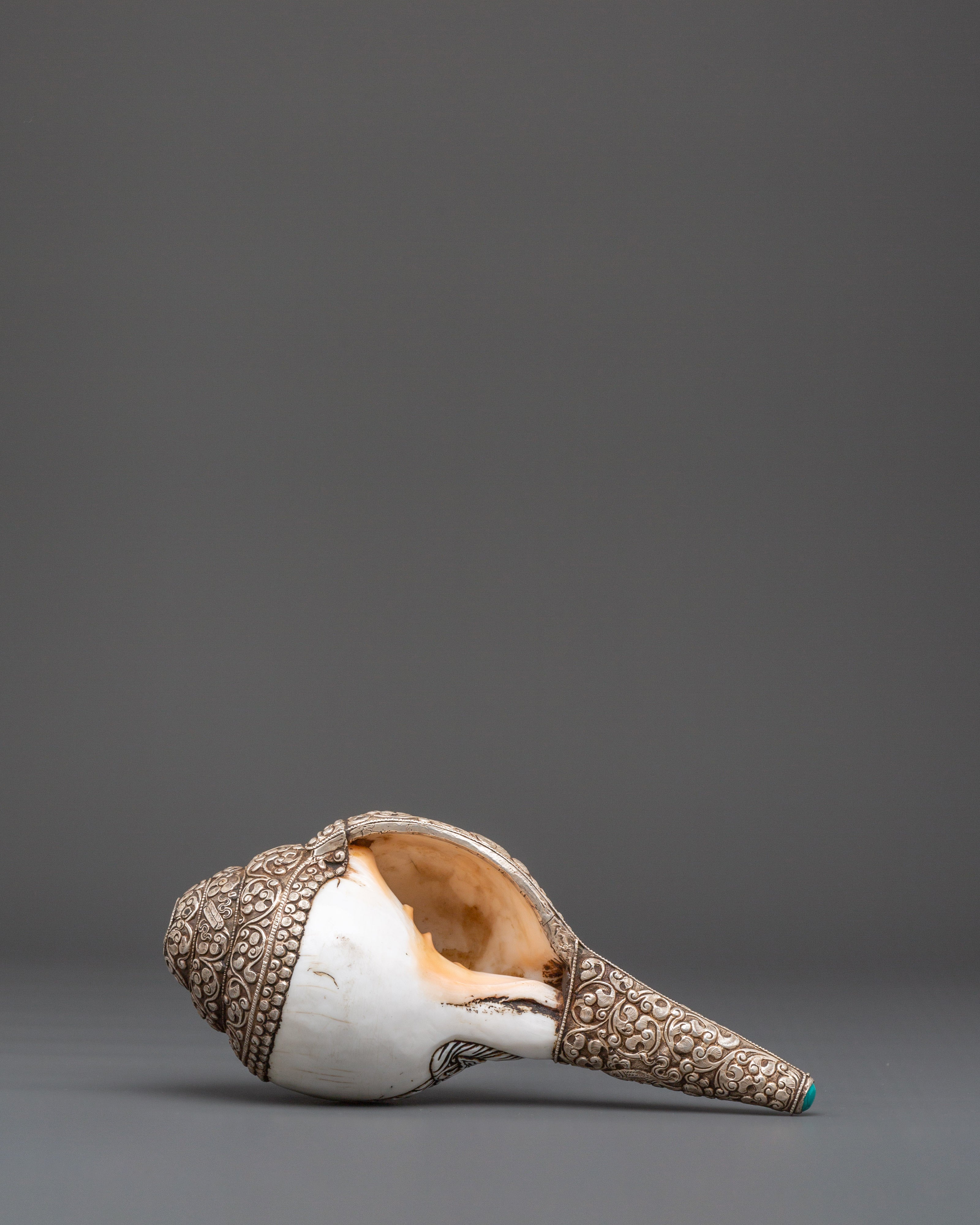 Tibetan Conch Shell for Rituals | Sacred Spiritual Tool for Meditation and Ceremony