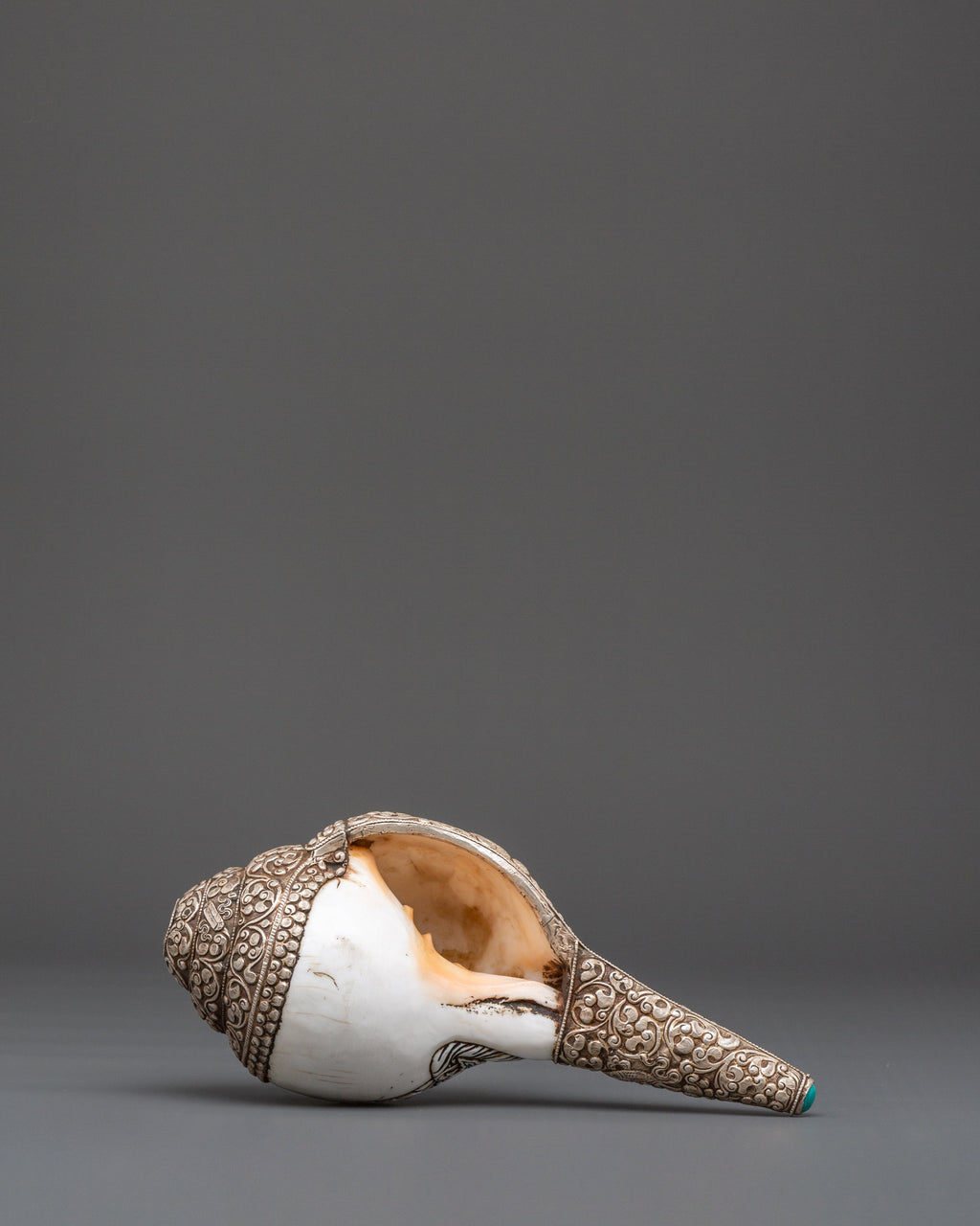 Conch Shell Ritual Tibetan Conch Shell for Rituals | Sacred Spiritual Tool for Meditation