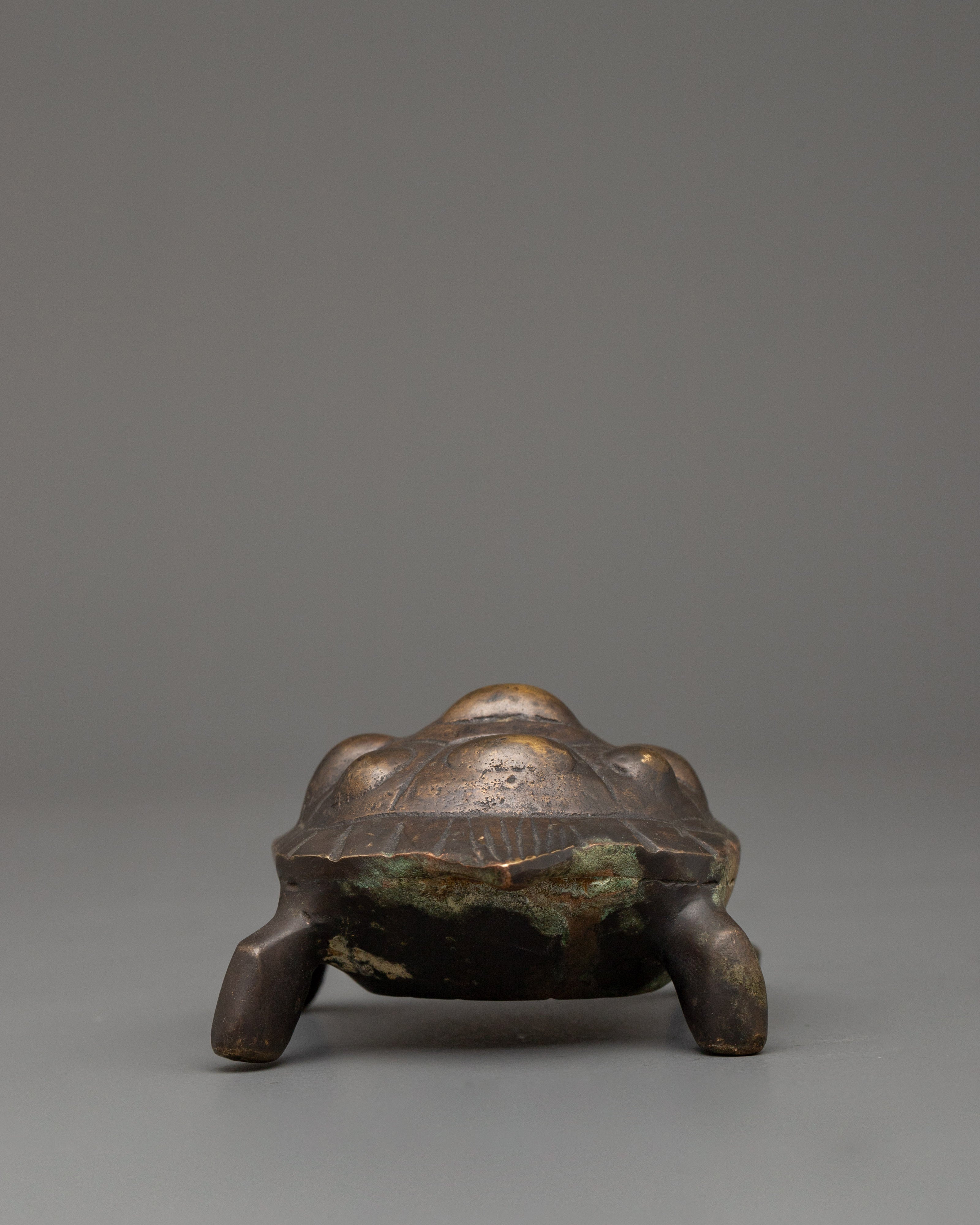 Brass Tortoise Statue with Antique Finish | Feng Shui Lucky Tortoise for Home Decor