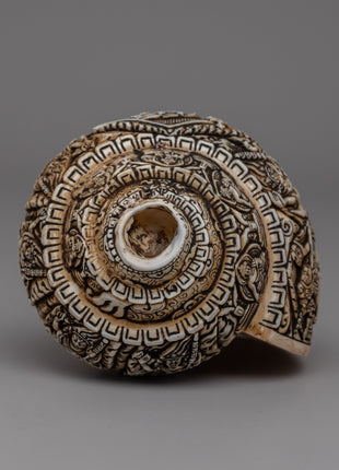 Intricately Carved Tibetan Conch Shell | Sacred Buddhist Sankha