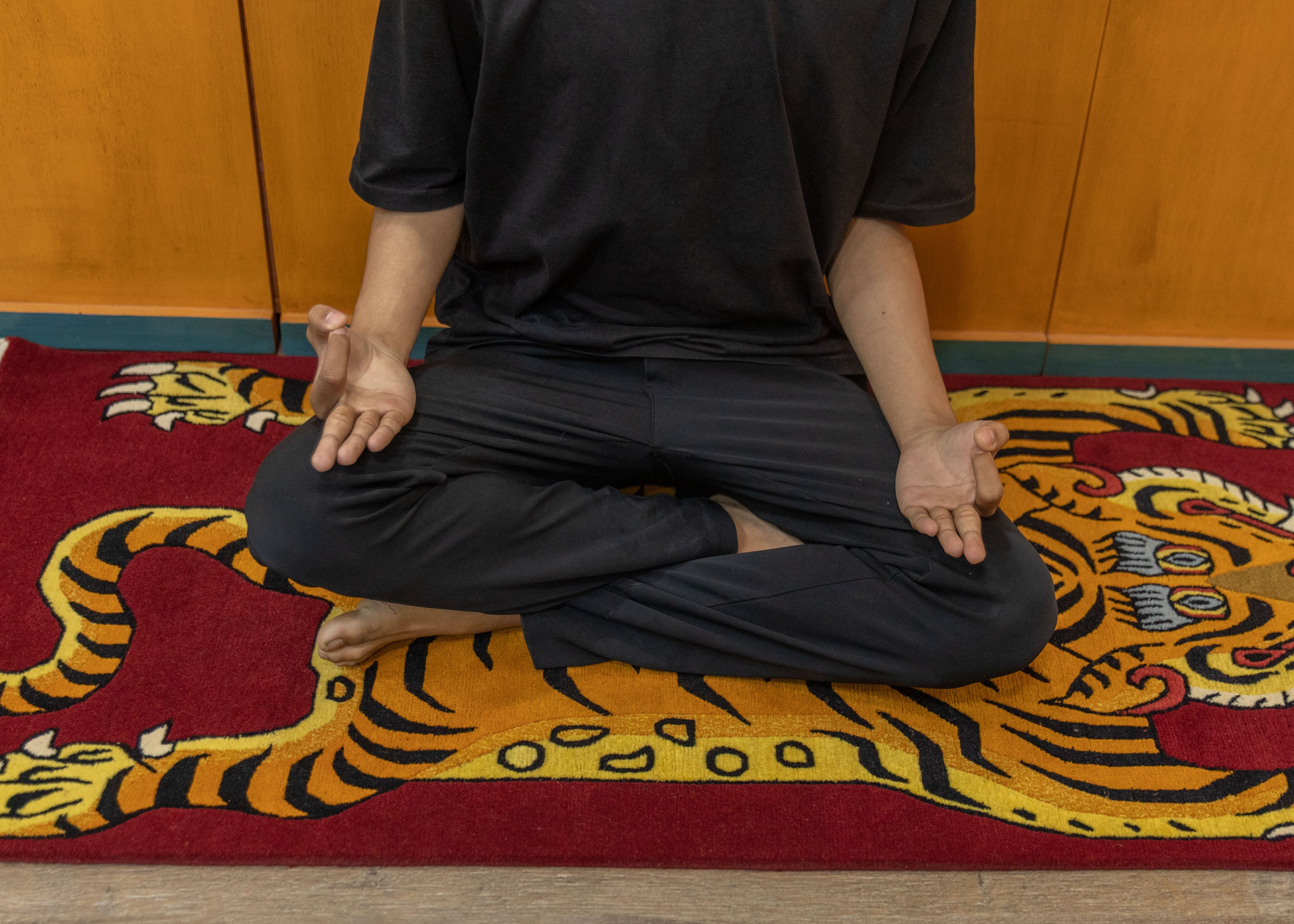 Handwoven Tiger Rug | Tibetan Wool Carpet for Artistic Home Decor