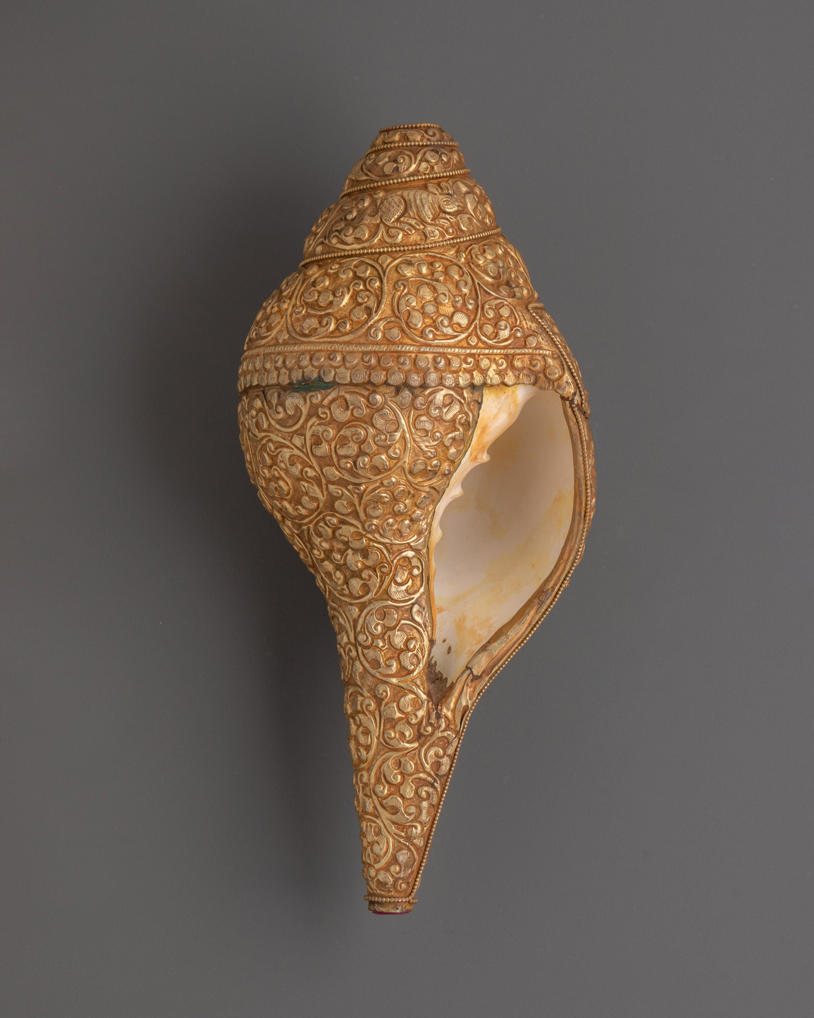 Tibetan Handcrafted conch | Prosperity Prosperity