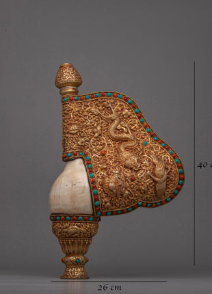 Exquisite Tibetan Ritual Conch | Sacred Tibetan Ritual Offering Shell