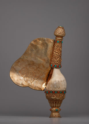 Exquisite Tibetan Ritual Conch | Sacred Tibetan Ritual Offering Shell