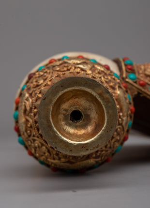Exquisite Tibetan Ritual Conch | Sacred Tibetan Ritual Offering Shell