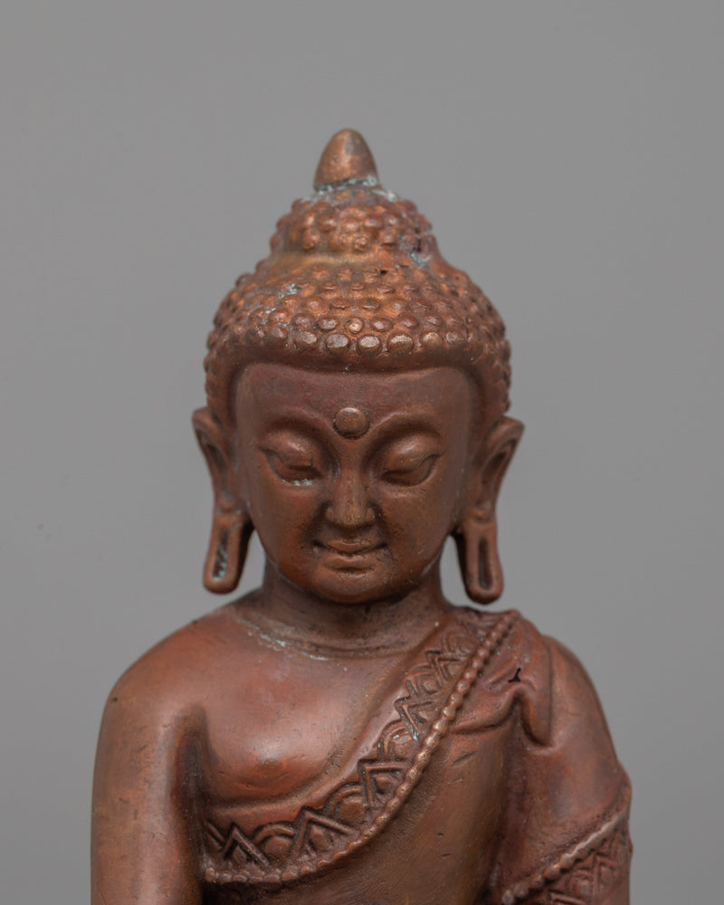 Sidhartha Gautam Shakyamuni Buddha | Symbol of Peace and Enlightenment