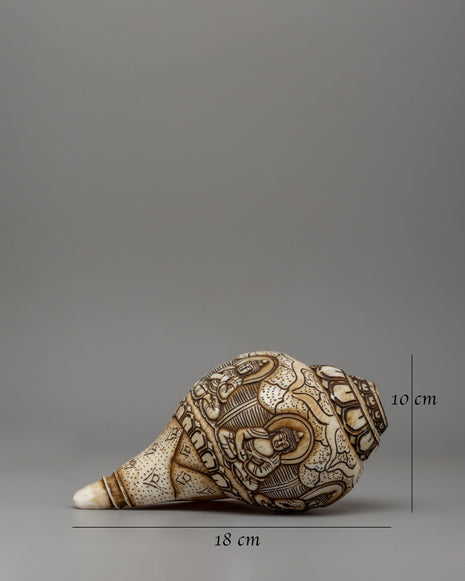 Hand-Carved Conch Shell | A Sacred Shankha for Rituals & Meditation