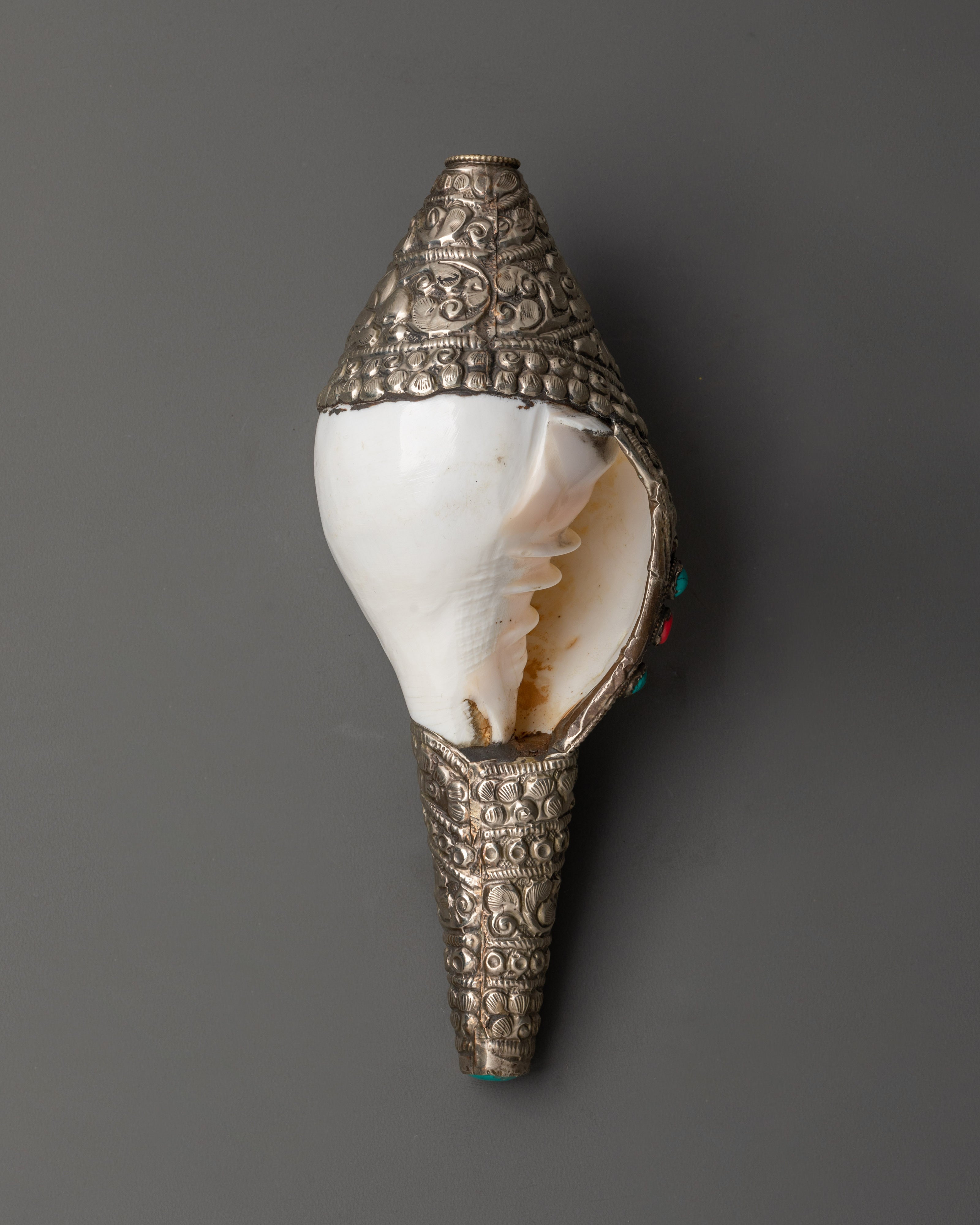 Tibetan Sacred Ritual Item Conch Shell | Handcrafted Shankha for Rituals and Ceremonies