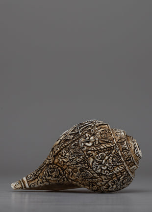 Intricately Carved Tibetan Conch Shell | Sacred Buddhist Sankha