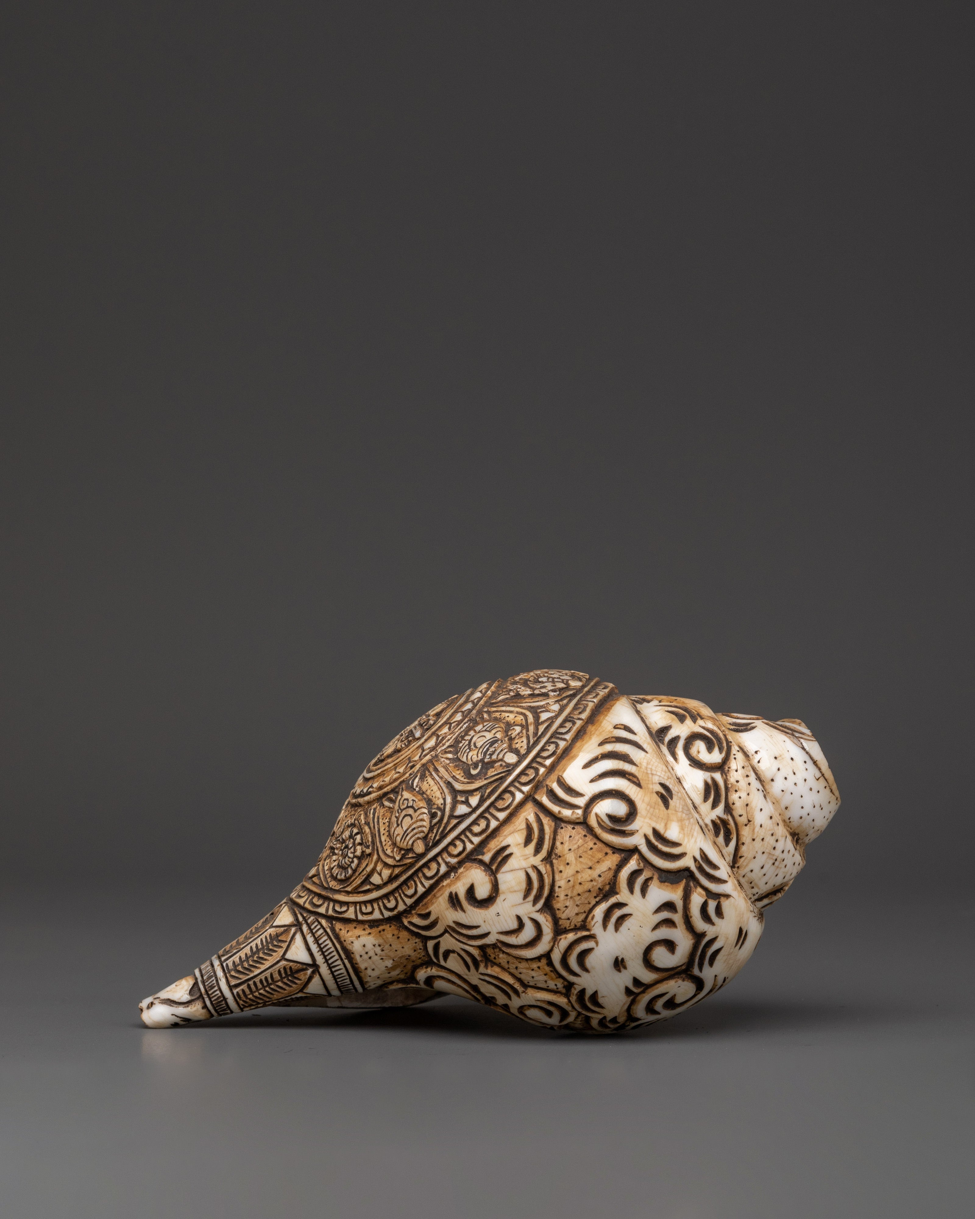 Handcrafted Tibetan Conch Shell | Symbol of Sacred Sound and Blessings