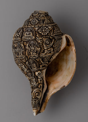 Handcrafted Traditional Tibetan Conch Shell | Sacred Buddhist Sankha