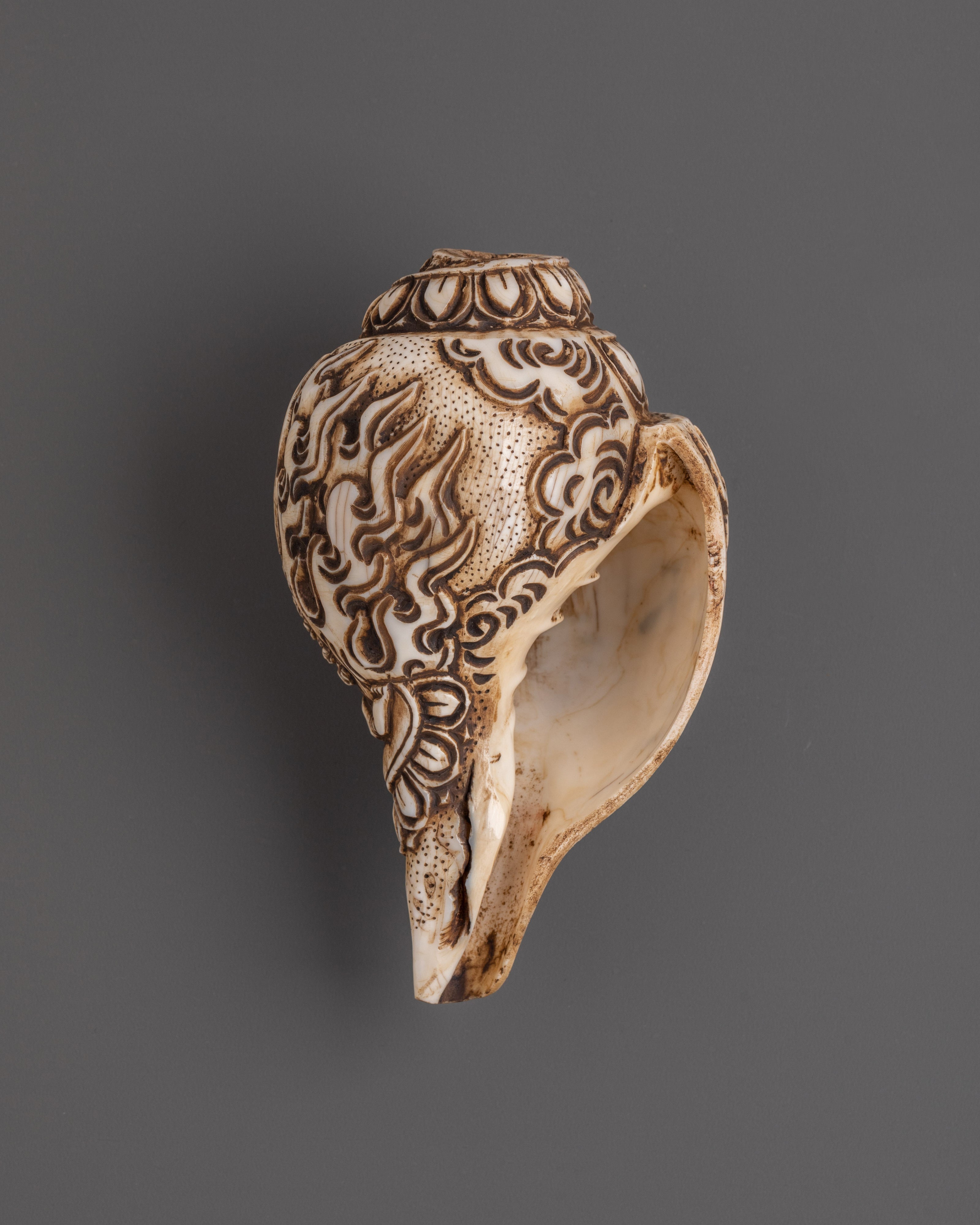 Healing Conch |  Meditation & Home Decoration