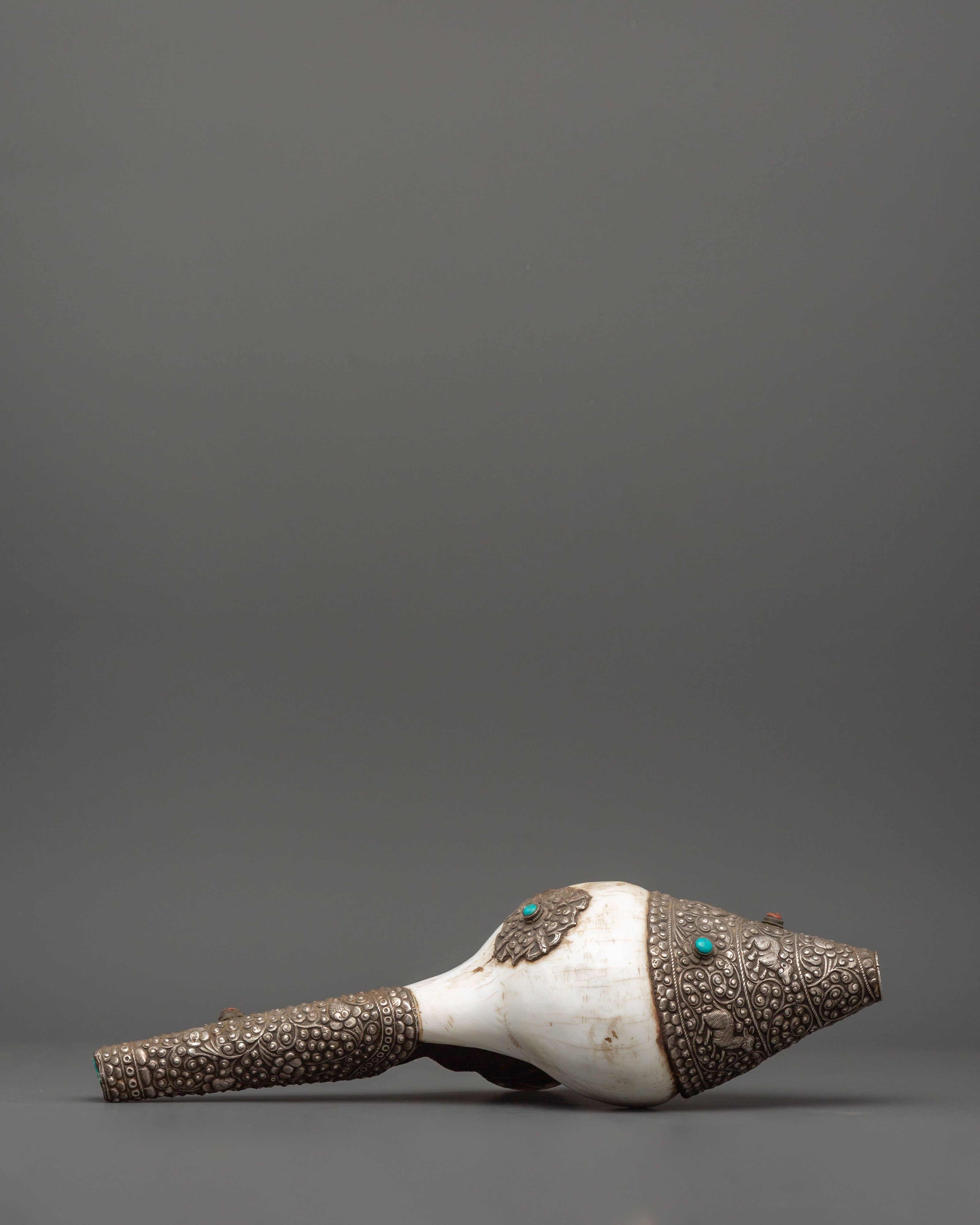 Religious Conch Shell | A Sacred Symbol of Dharma