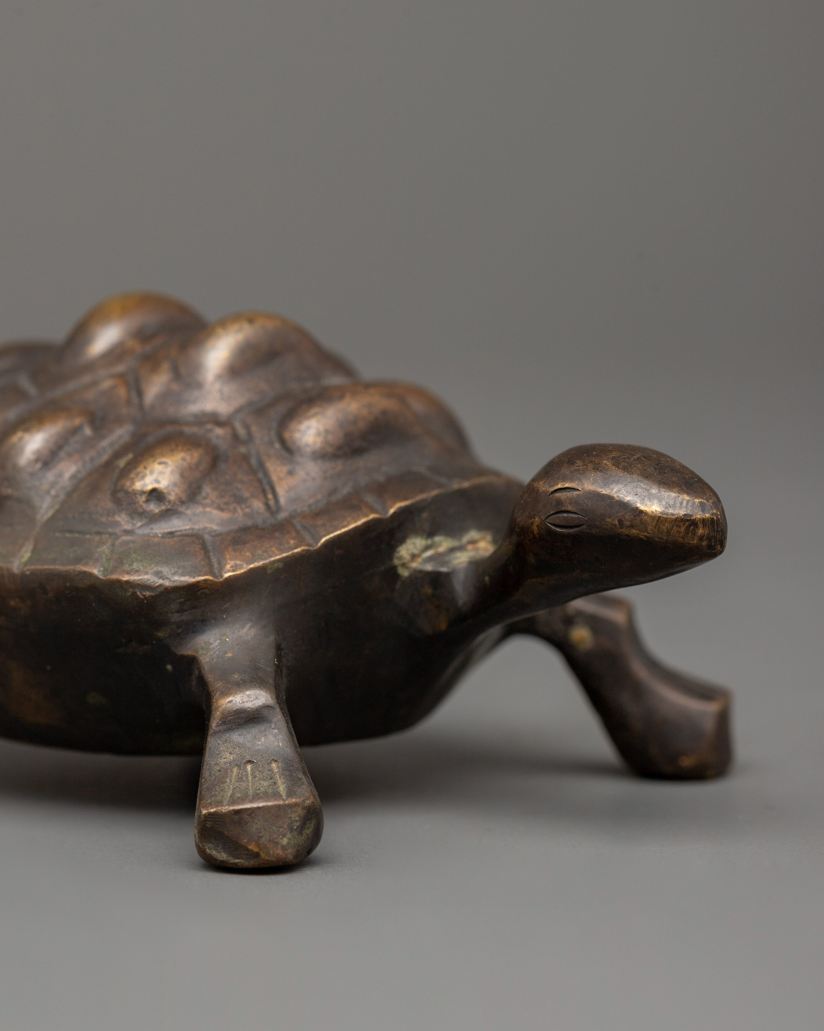 Brass Tortoise Statue with Antique Finish | Feng Shui Lucky Tortoise for Home Decor