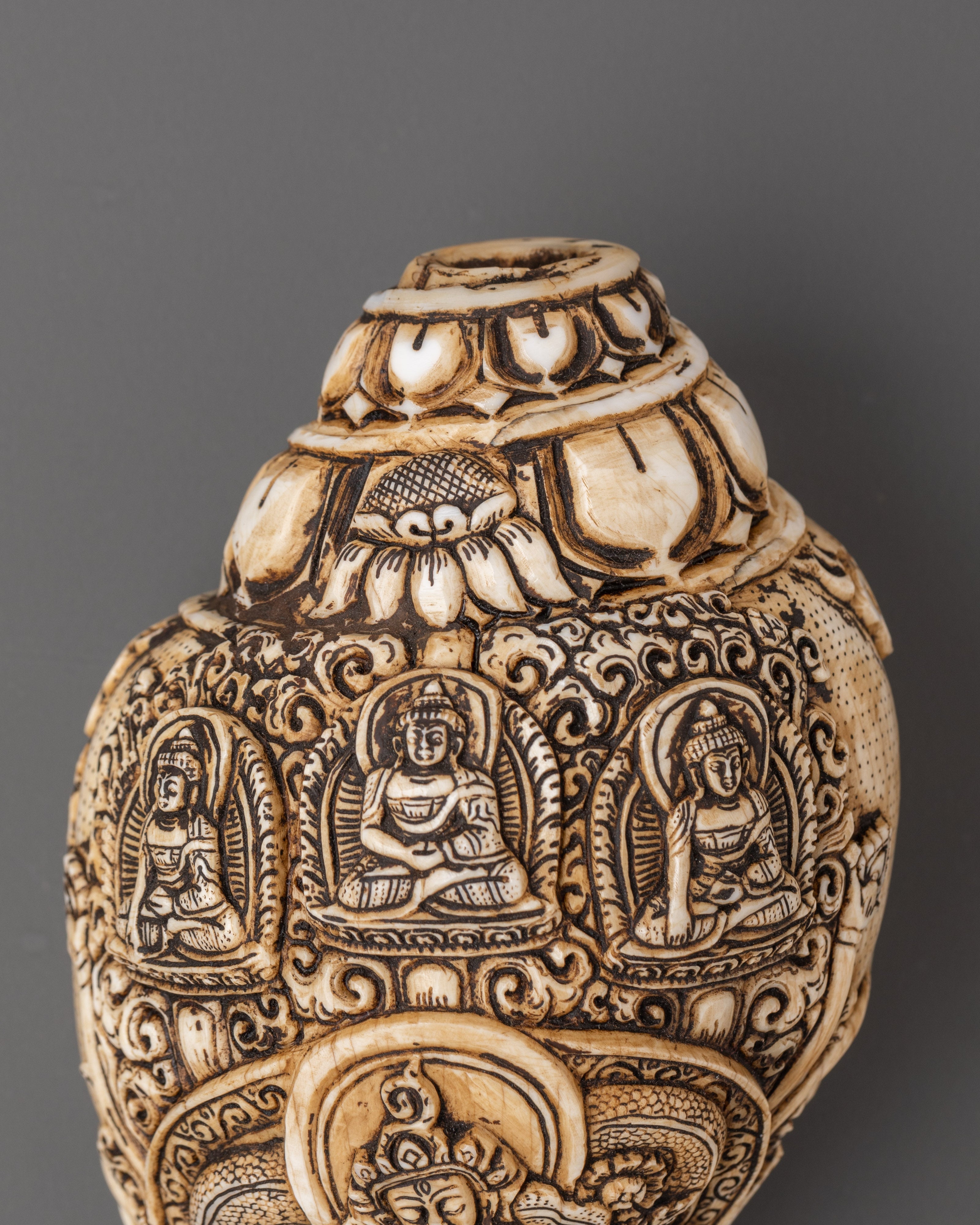 Three Dhyani Buddha and White Tara Carved Conch | Conch Shell