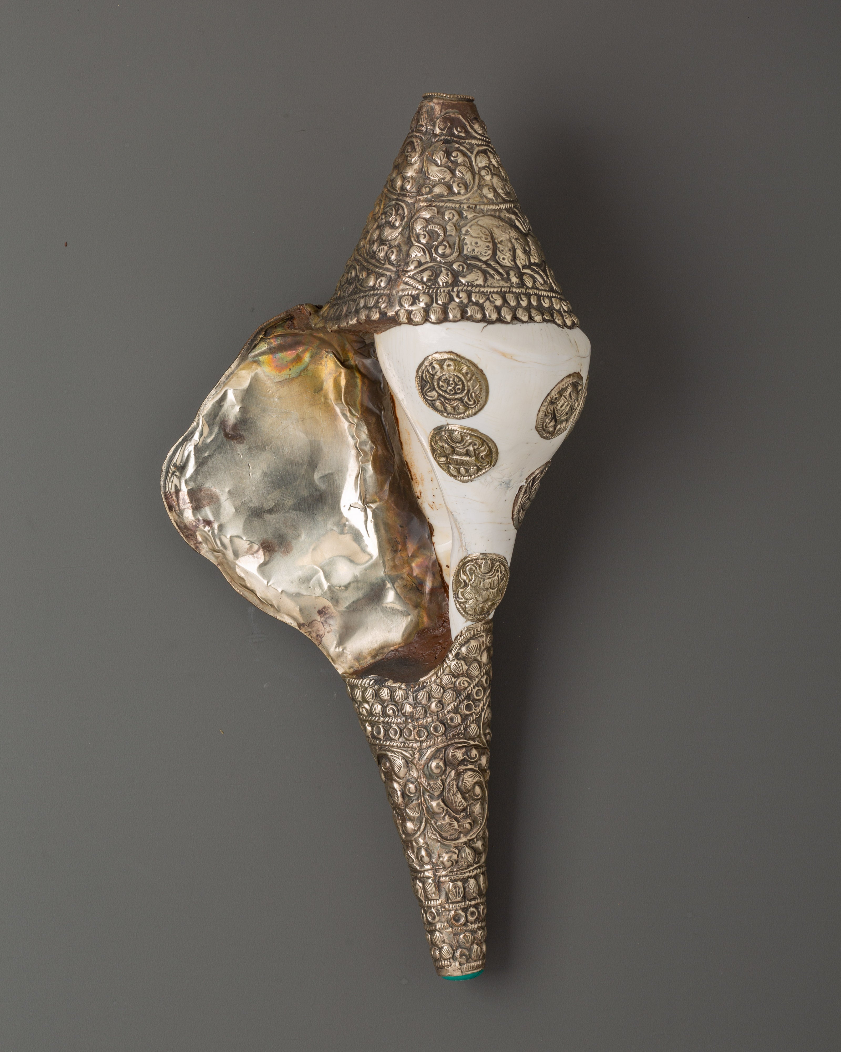 Tibetan Conch for Rituals | Sacred Offering Tool
