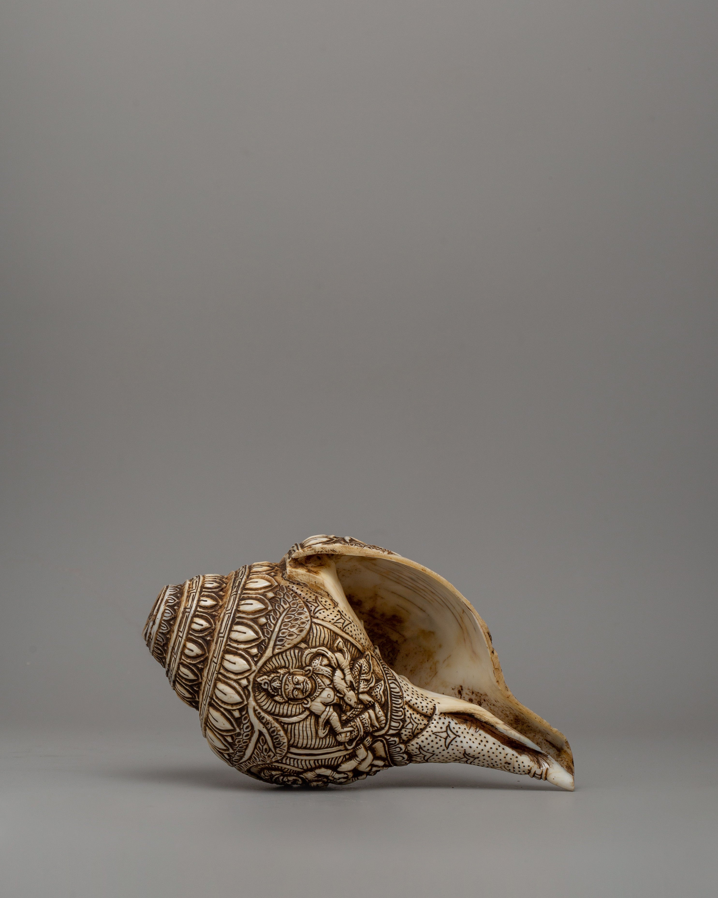 Beautifull Conch Shell | Sacred Shankha for Puja and Meditation