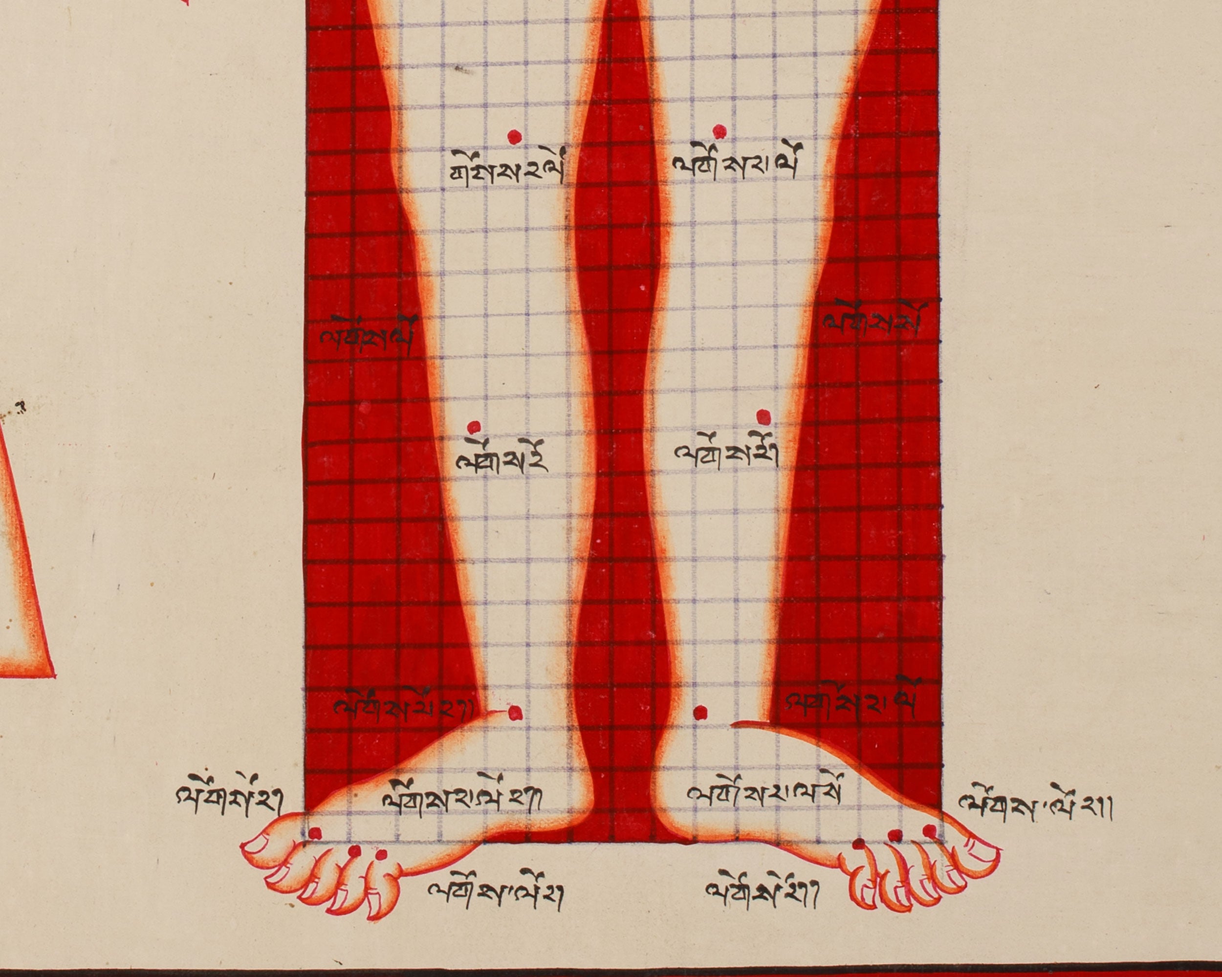 Human Anatomy Thangka | Posterior View of Healing Points