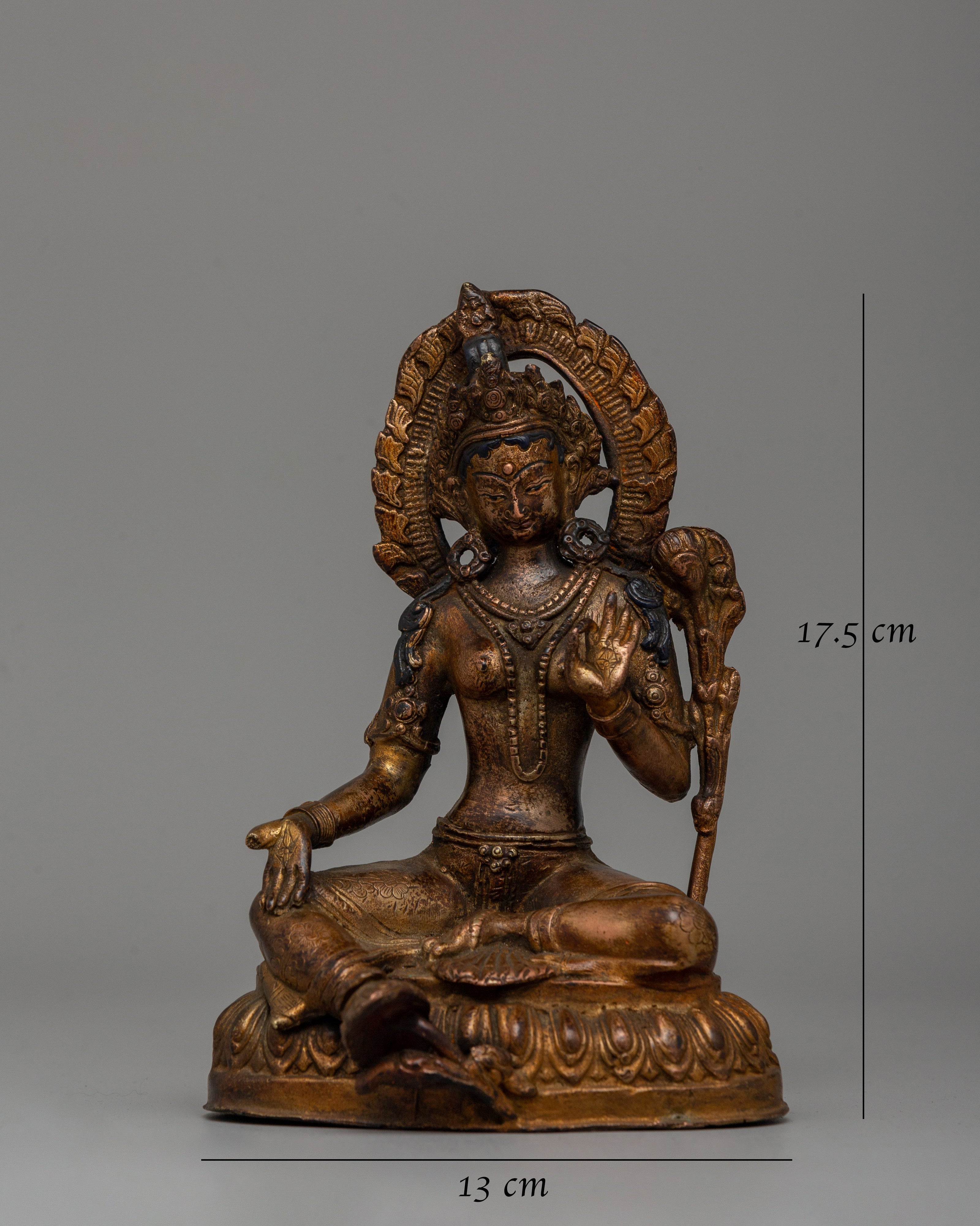 40 Years Old Green Tara | Symbol of Spiritual Protection & Devotion
