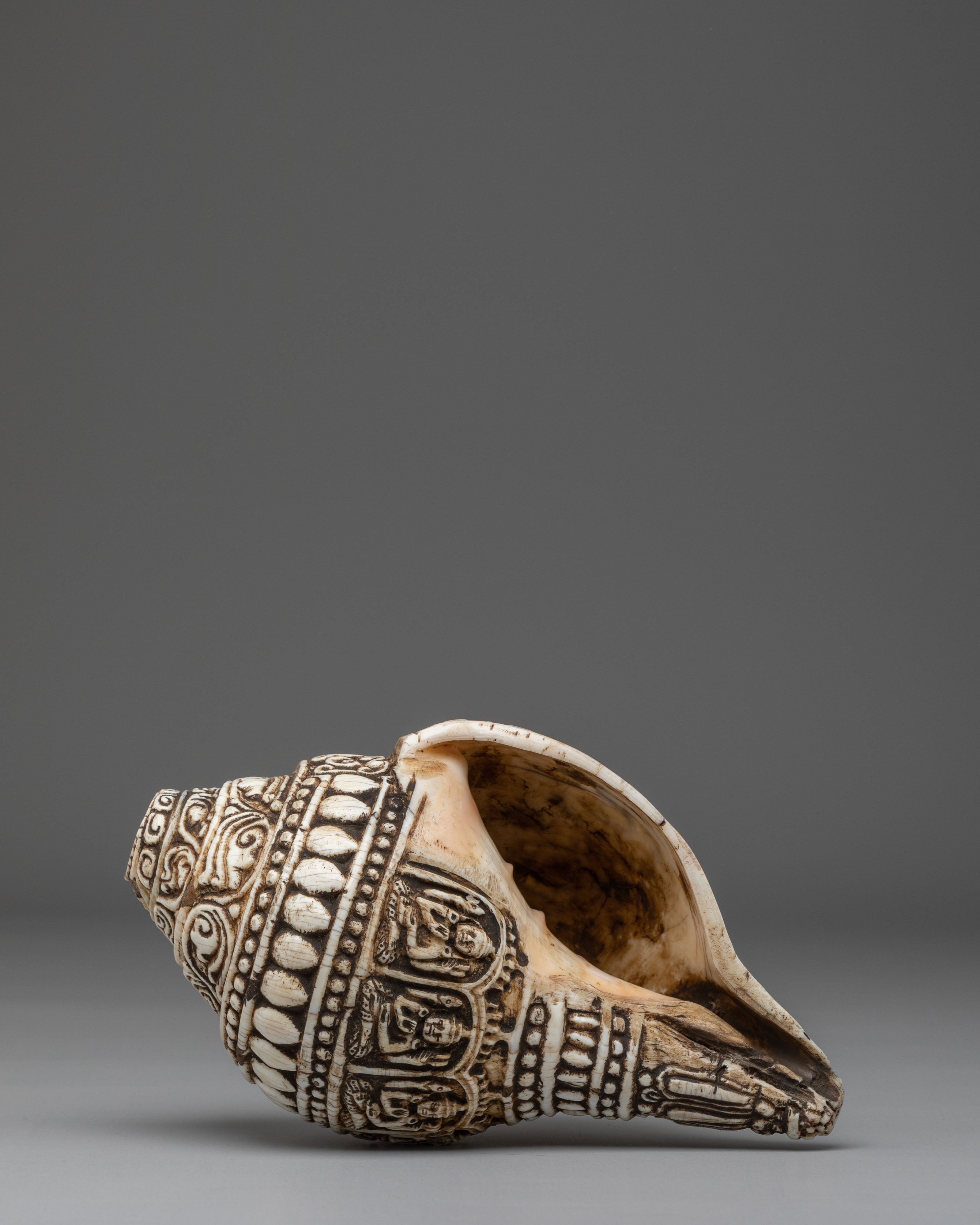 Hand Carved Tibetan Conch Shell | Sacred Sound Conch for Meditation