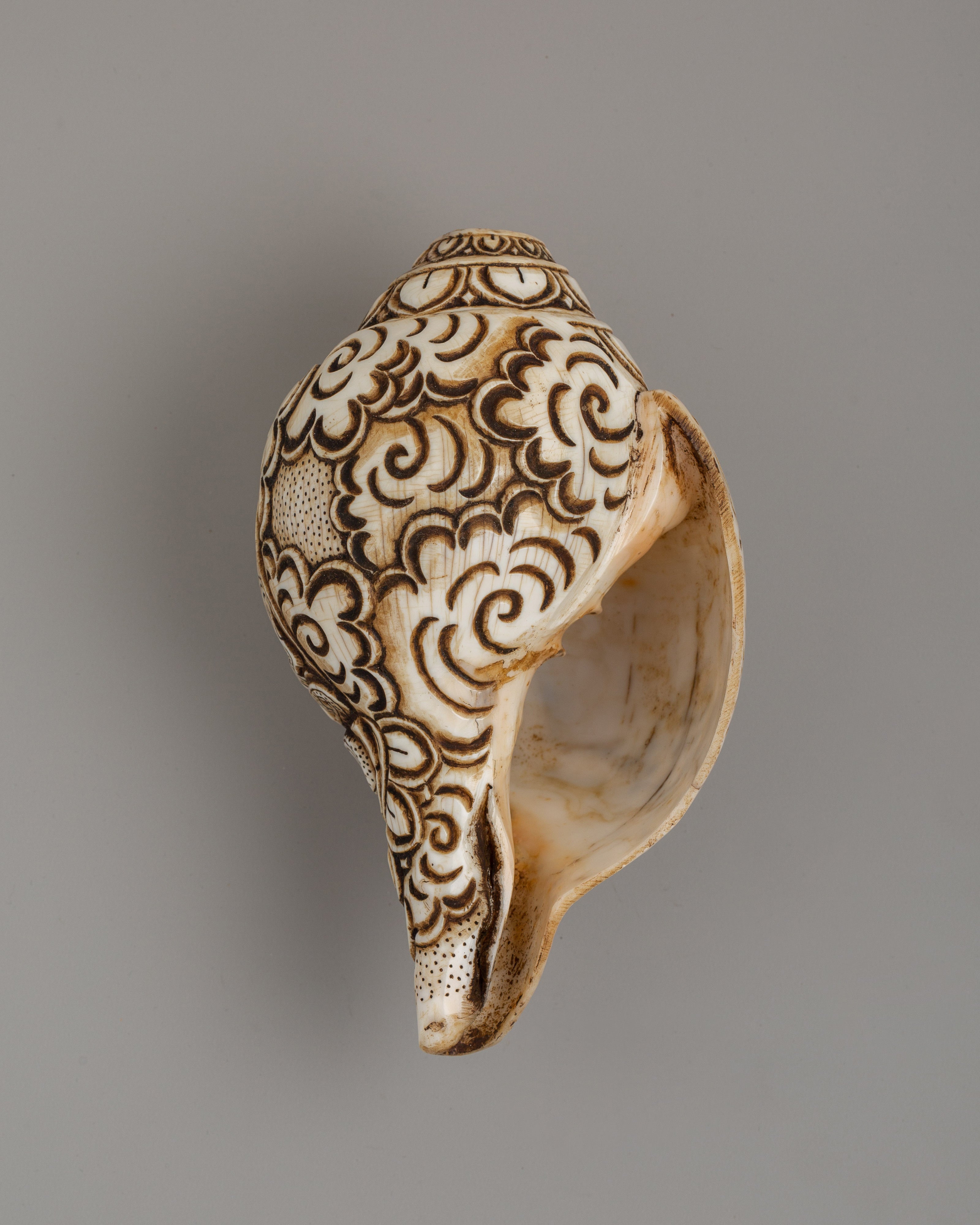 Conch Shell with White Tara Carvings | A Divine Ritual Artifact