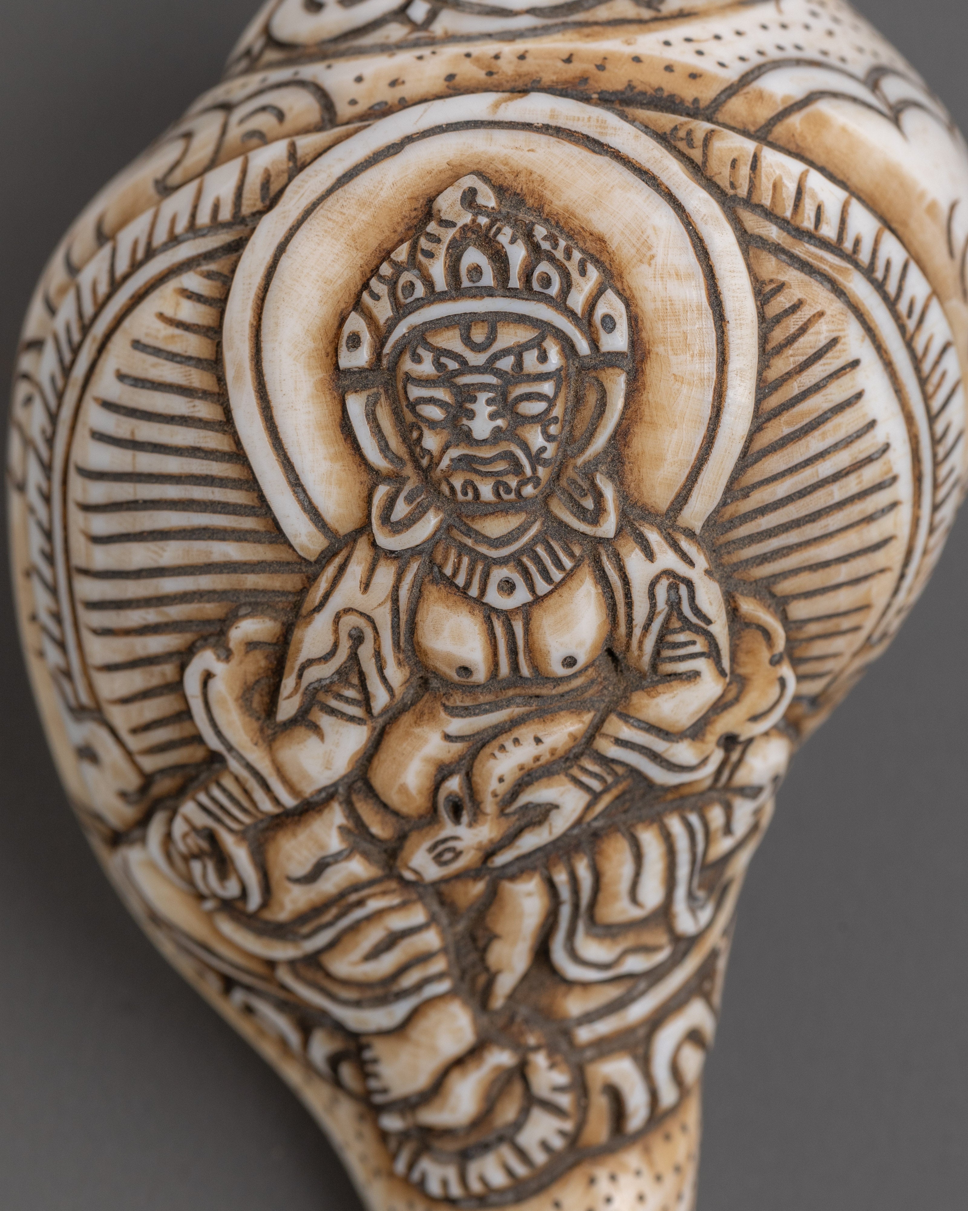 Dzambhala Conch | Sacred Buddhist Artifact