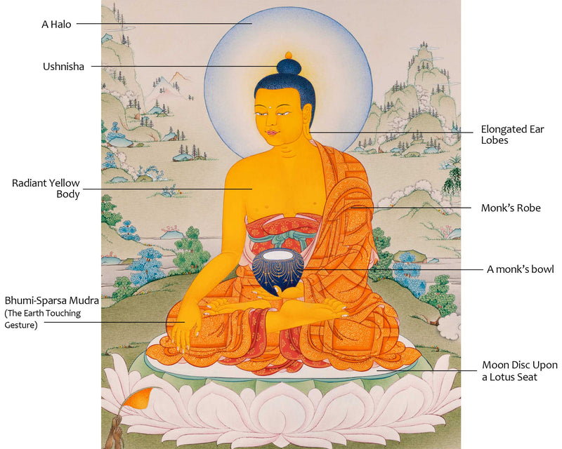 Buddha Shakyamuni Thangka: A unique Depiction