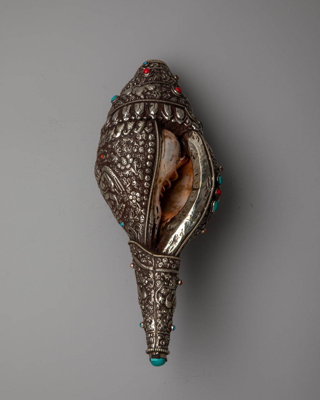 Wheel of Life Conch Shell | Symbolizing the Eternal Cycle of Existence