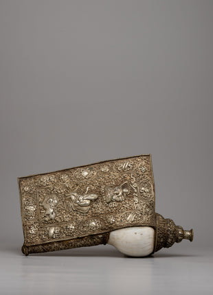 Conch Shell Trumpet