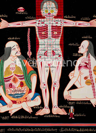 Human Anatomy Thangka | Anatomy Wall Arts | Wall Hanging For Biology | Thangka Painting | Antique Asian Arts | Tibetan Thangka Painting