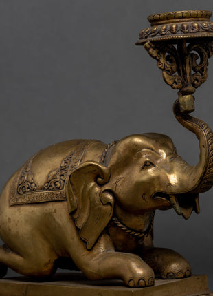 Elephant Lotus Lamp Set  | Himalayan Art
