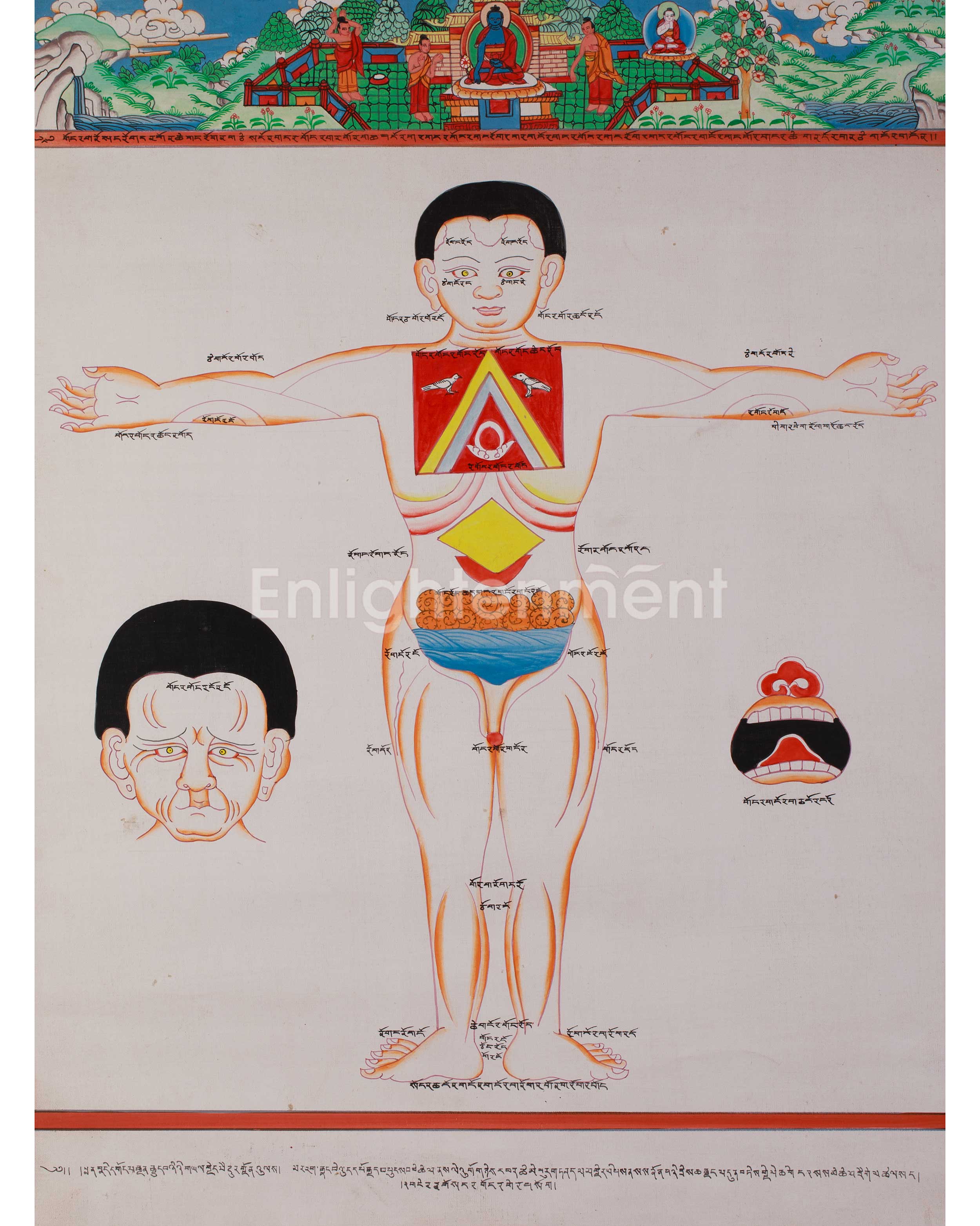 Sacred Human Anatomy Art 