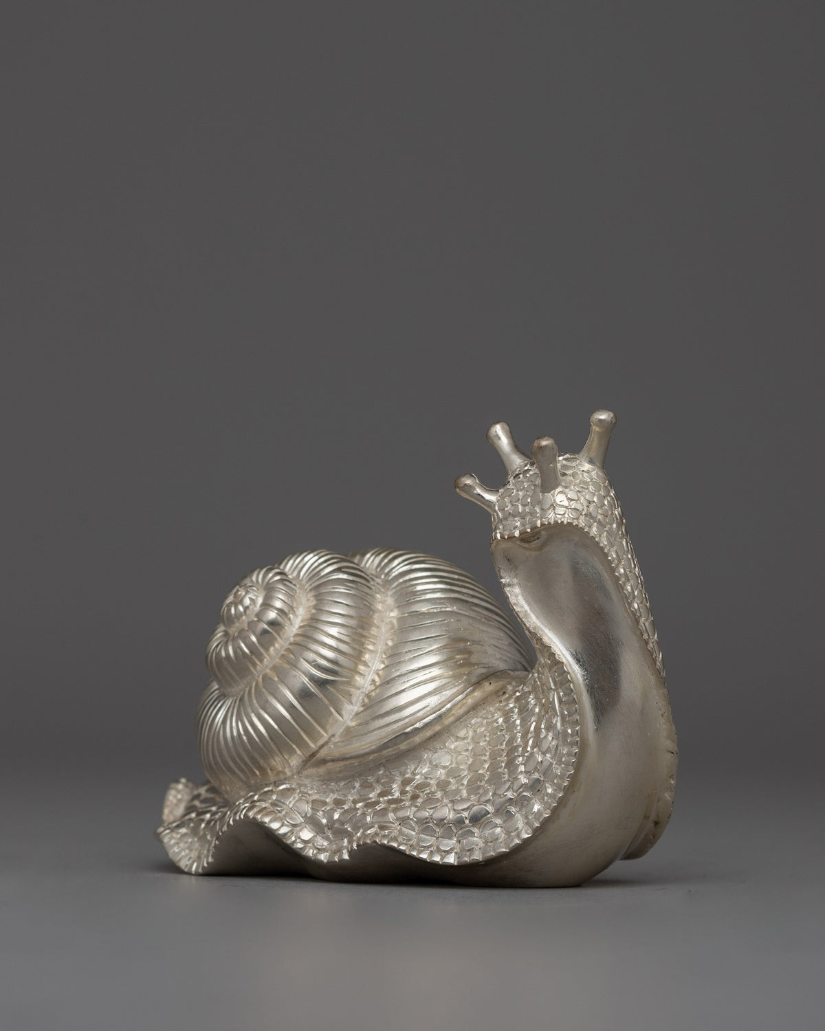 Decorative Silver Snail | Prosperity Gift