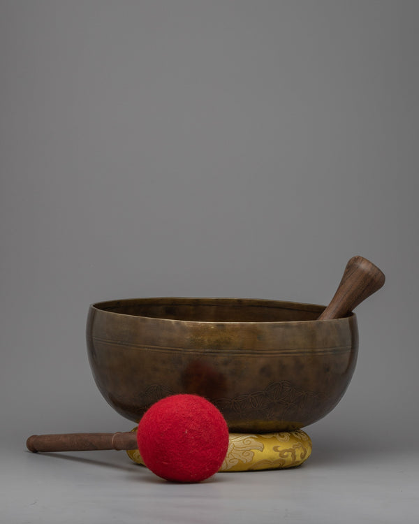 Sound Healing Singing Bowl 