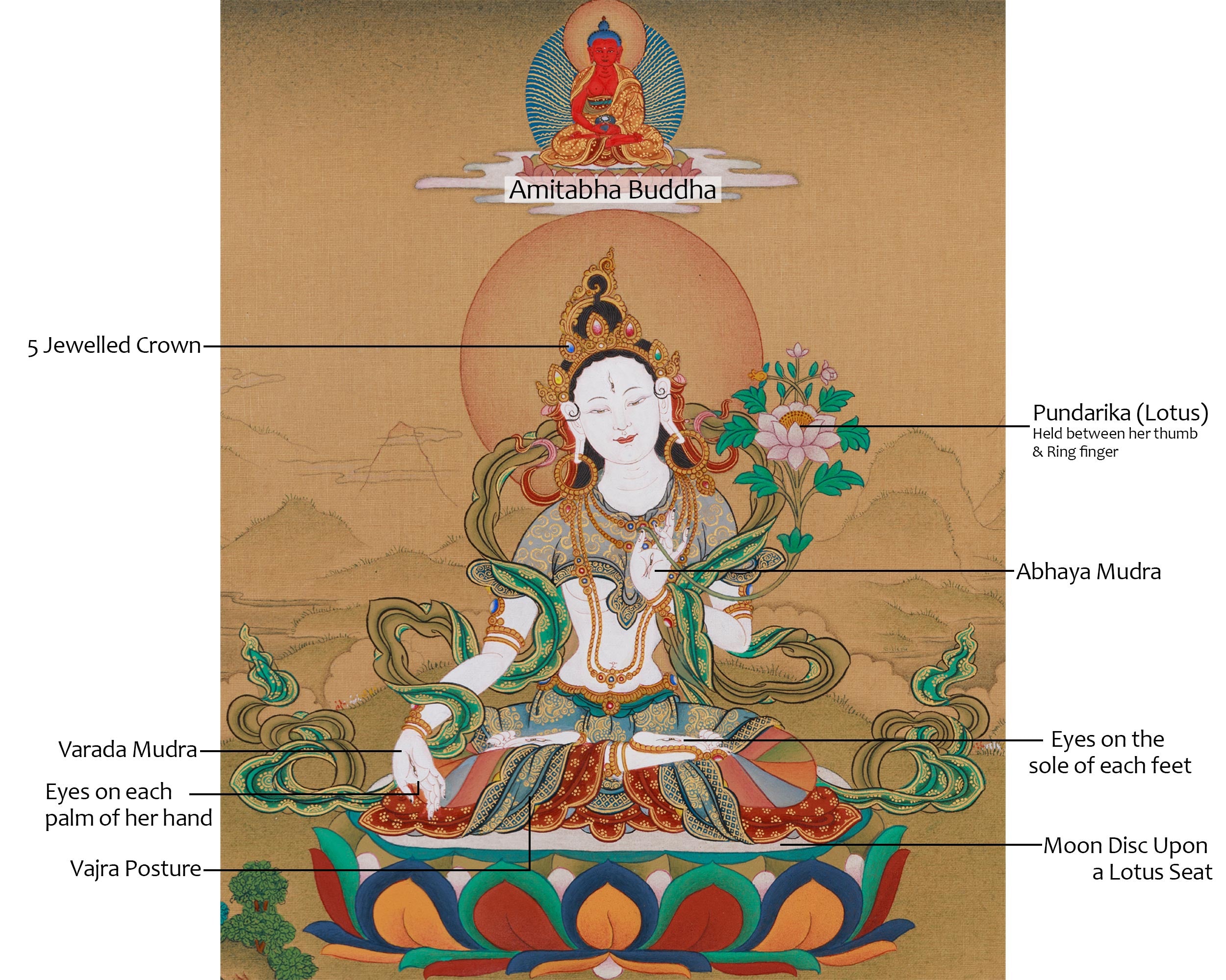 White Tara with Amitabha Buddha Thangka | Symbol of Eternal Compassion