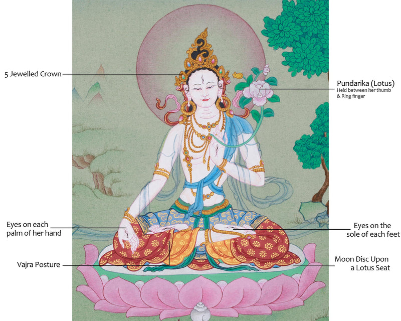 Healing and Longevity Goddess Tara | White Dolma Thangka