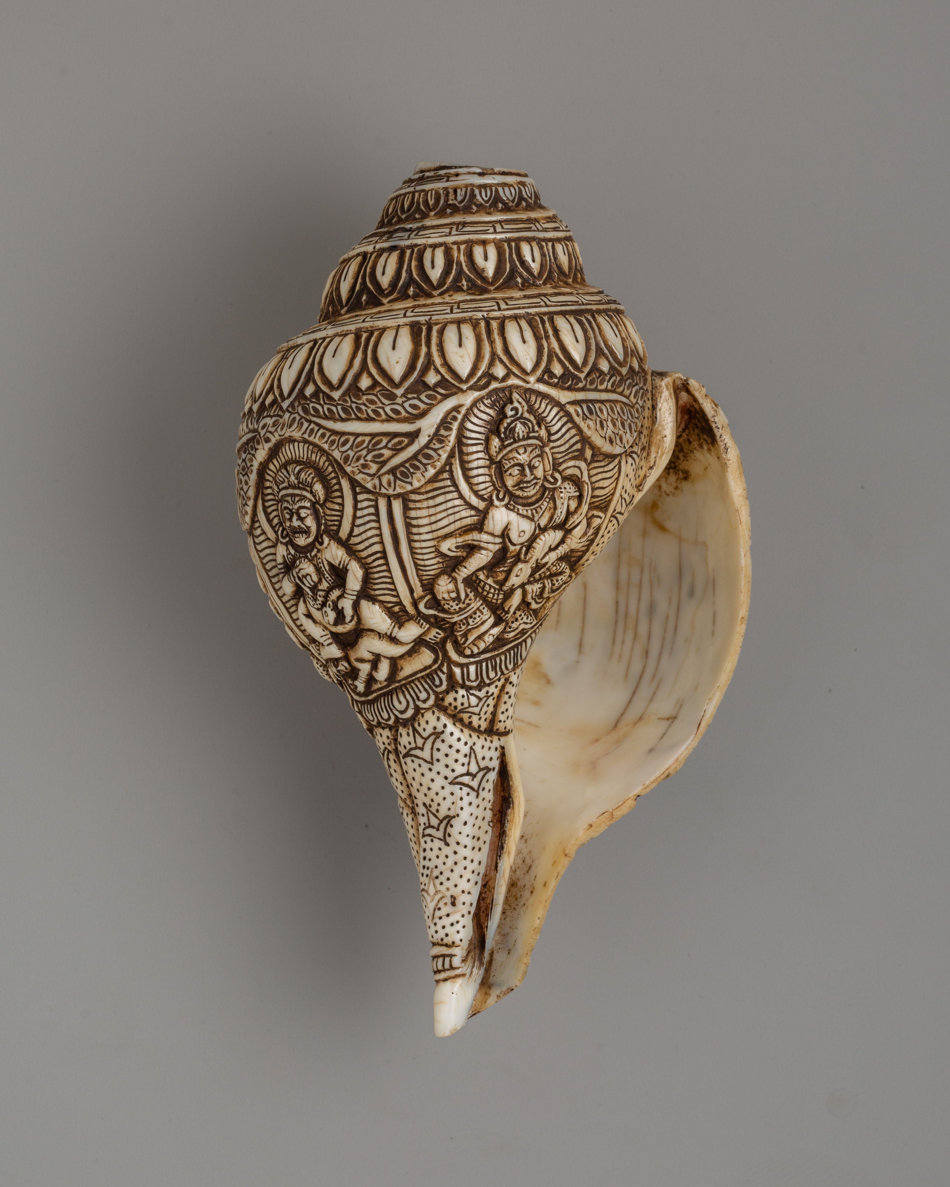 Beautifull Conch Shell | Sacred Shankha for Puja and Meditation
