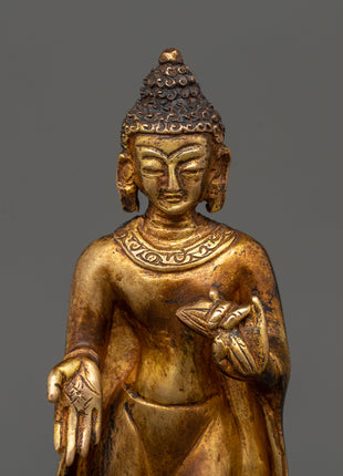 Dipankara Enlightened Deity Statue | Buddha of Light and Wisdom