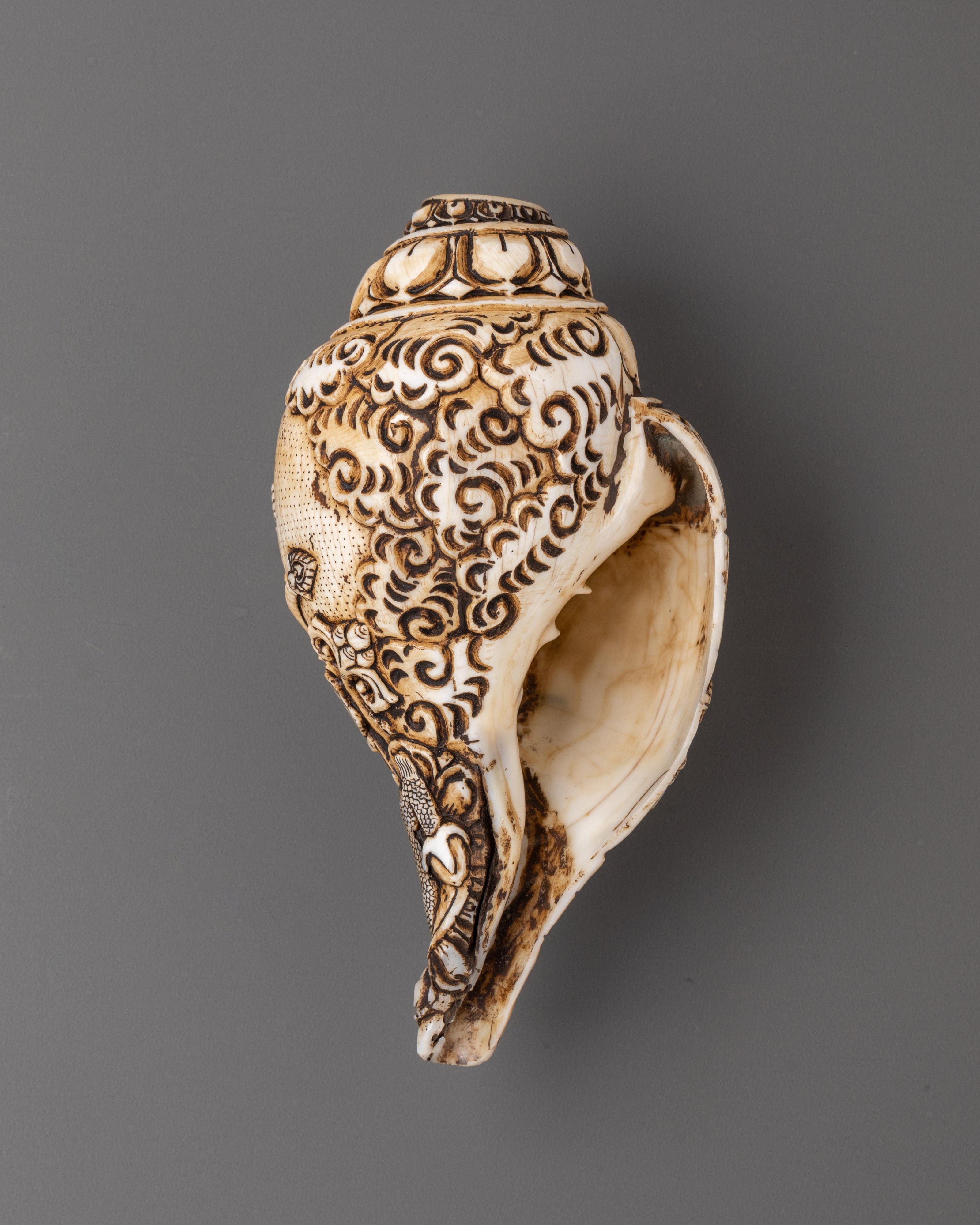 Three Dhyani Buddha and White Tara Carved Conch | Conch Shell